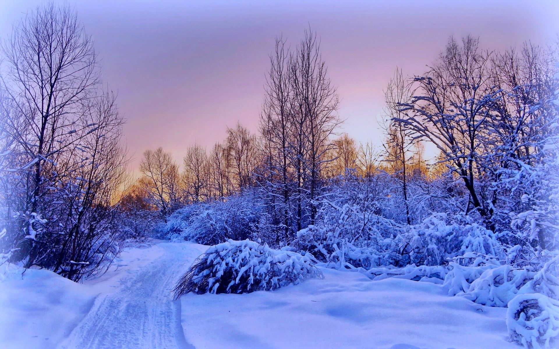 Snowy path through a winter forest at sunset HD Wallpaper