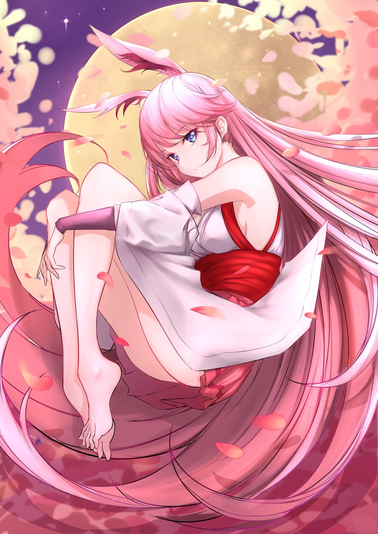Yae Sakura from Honkai Impact 3rd HD Phone Wallpaper