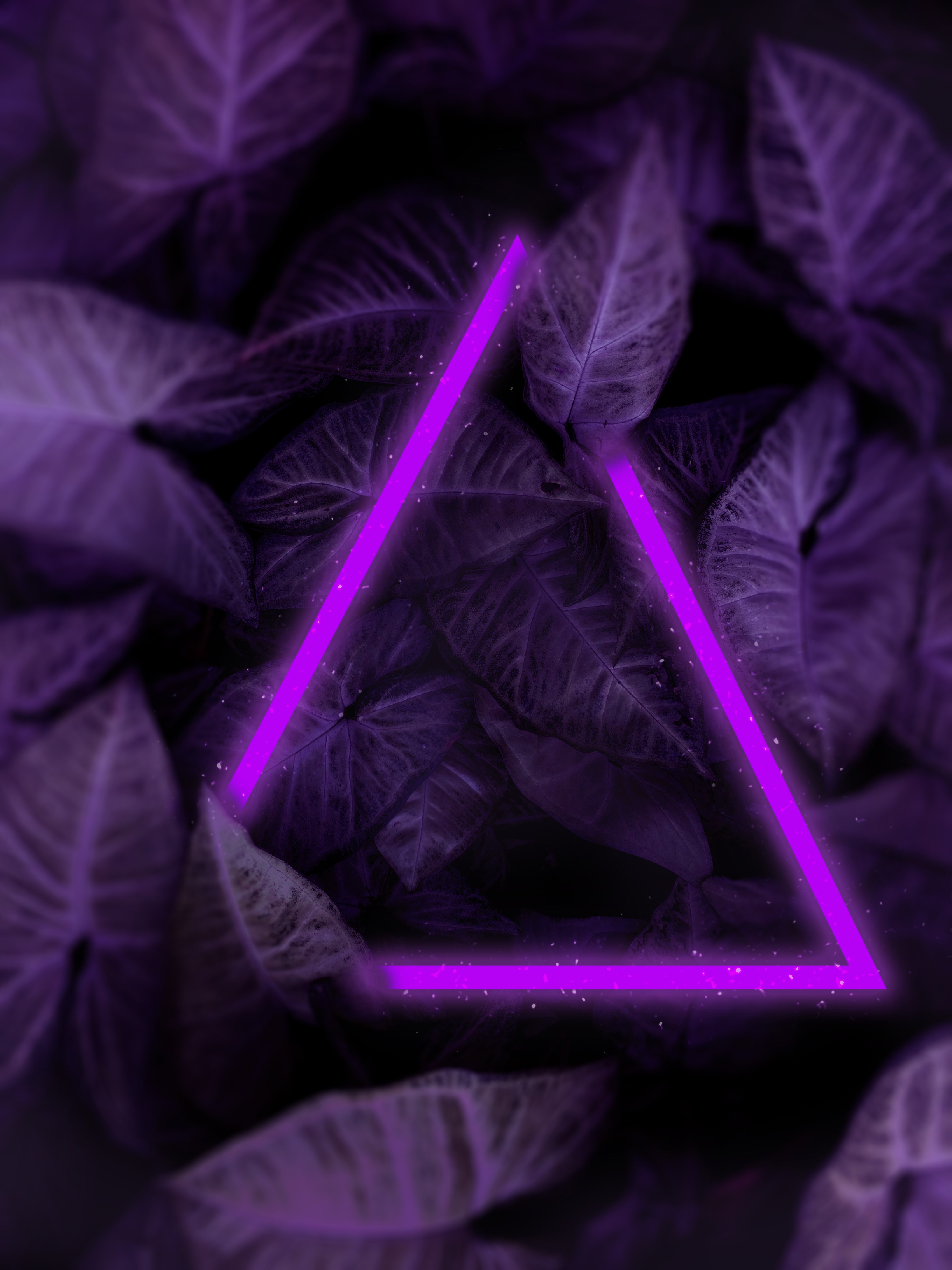 Purple leaves with neon triangle effect HD Phone Wallpaper