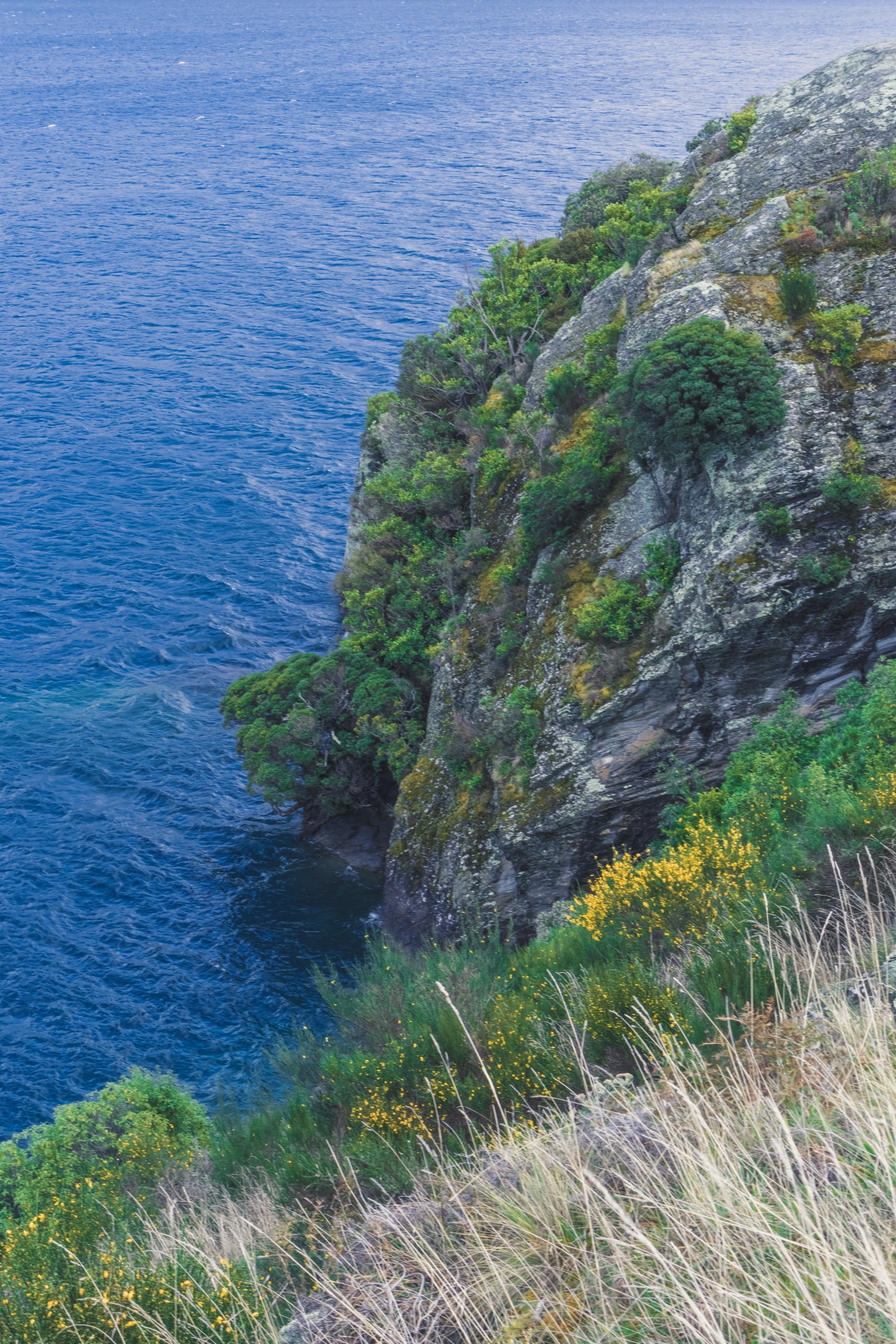 Rocky cliff overlooking blue ocean with vegetation HD Phone Wallpaper