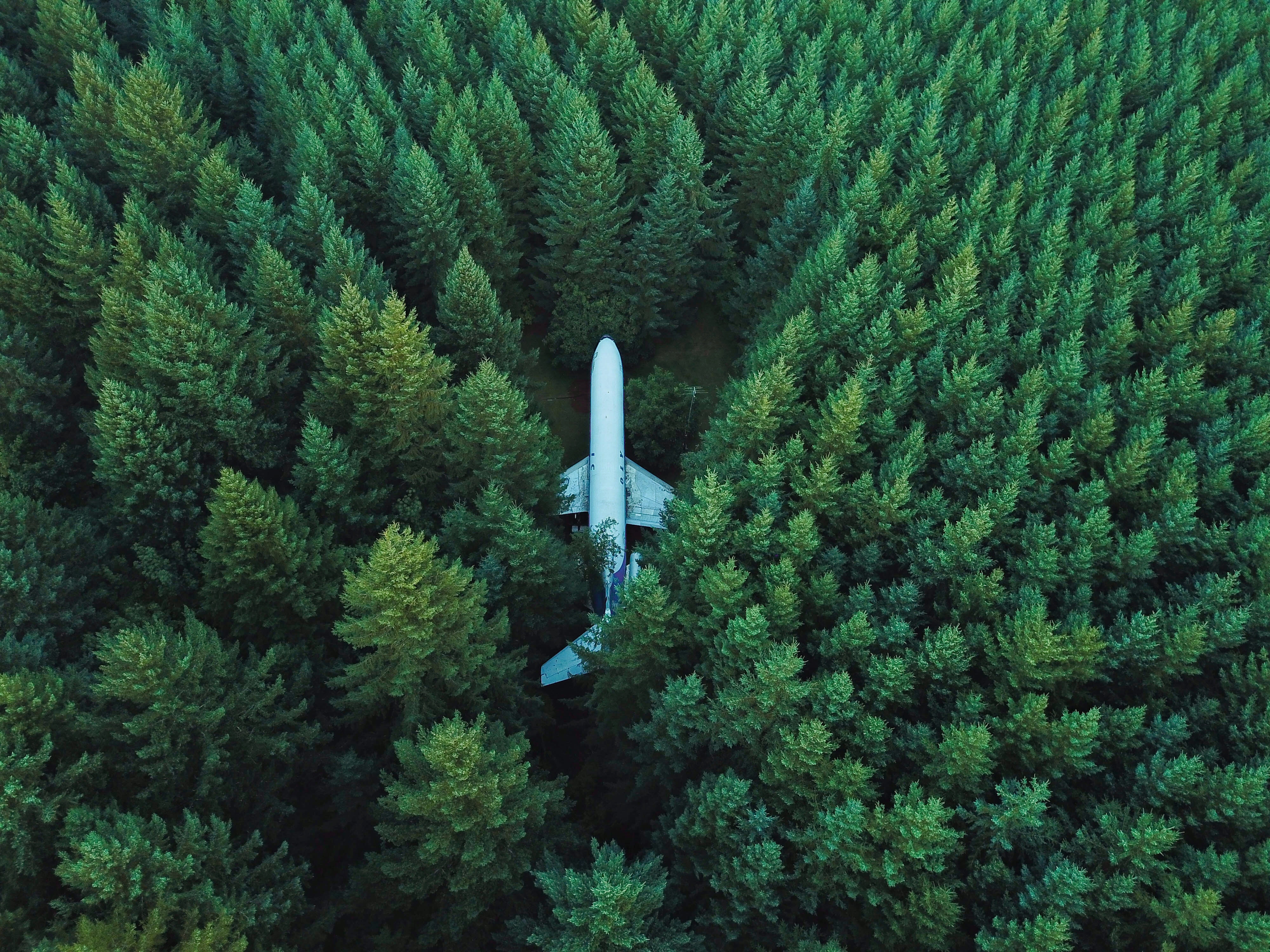 Airplane crashed in a dense forest, aerial view HD Wallpaper