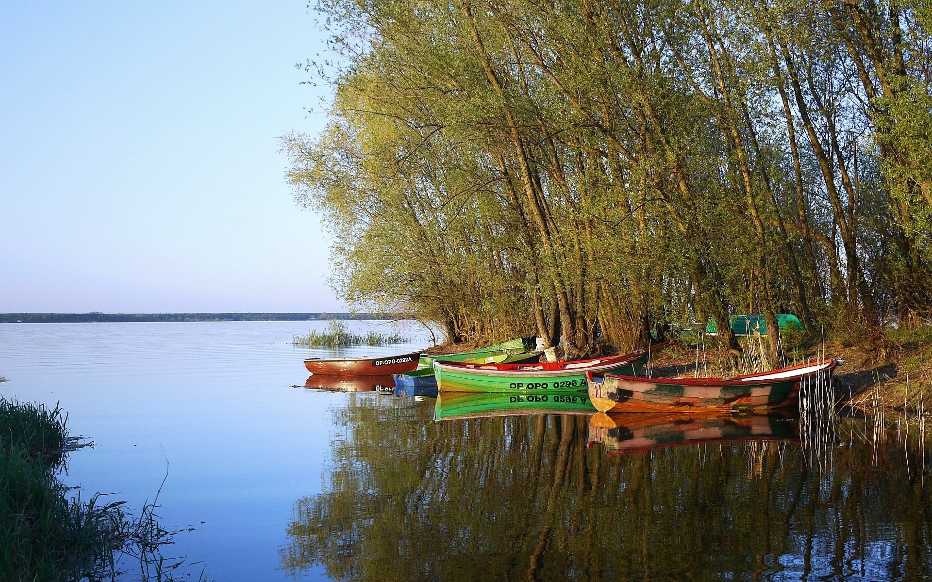 Boats docked by a tree-lined lake shore HD Wallpaper