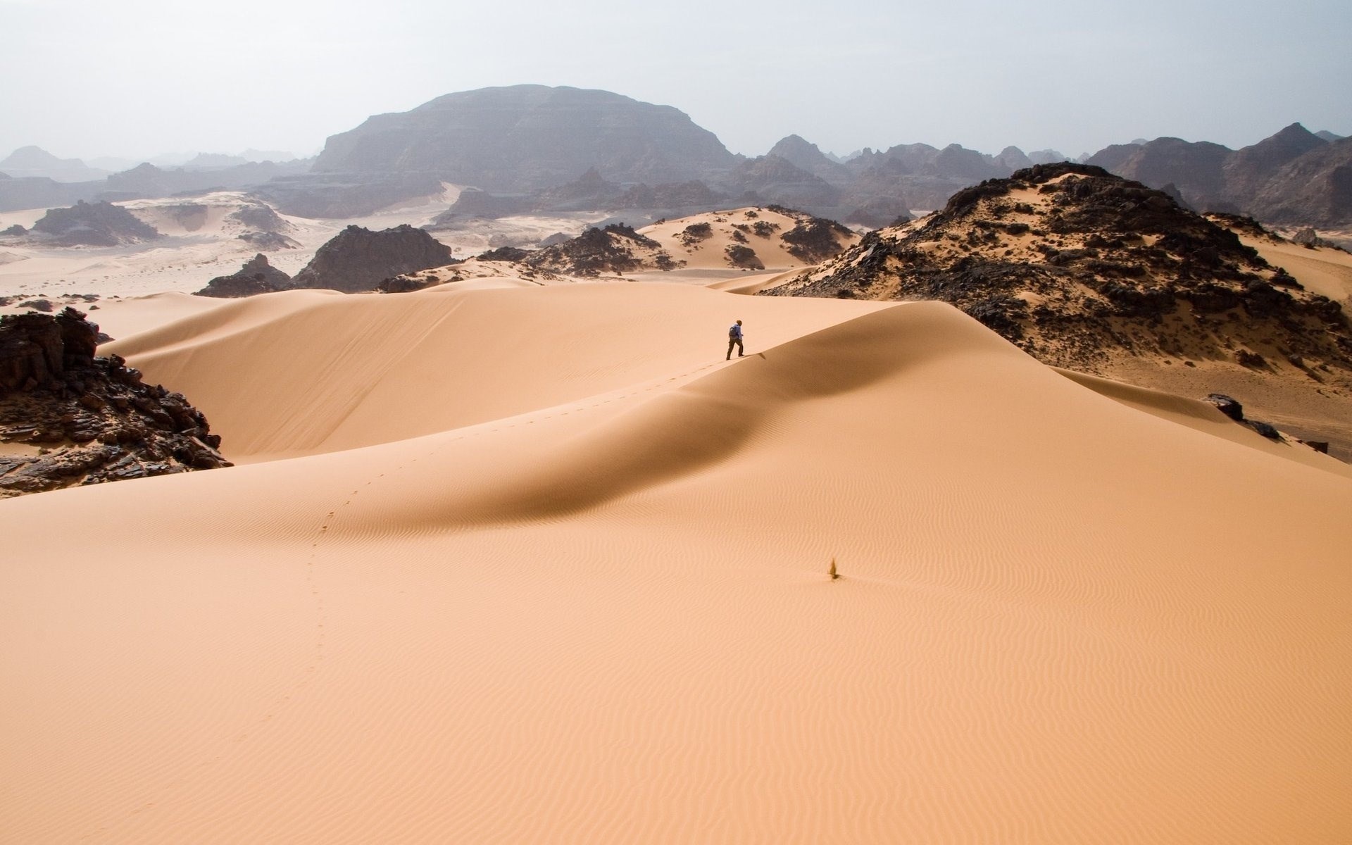 Person walking on sand dunes in a desert landscape HD Wallpaper