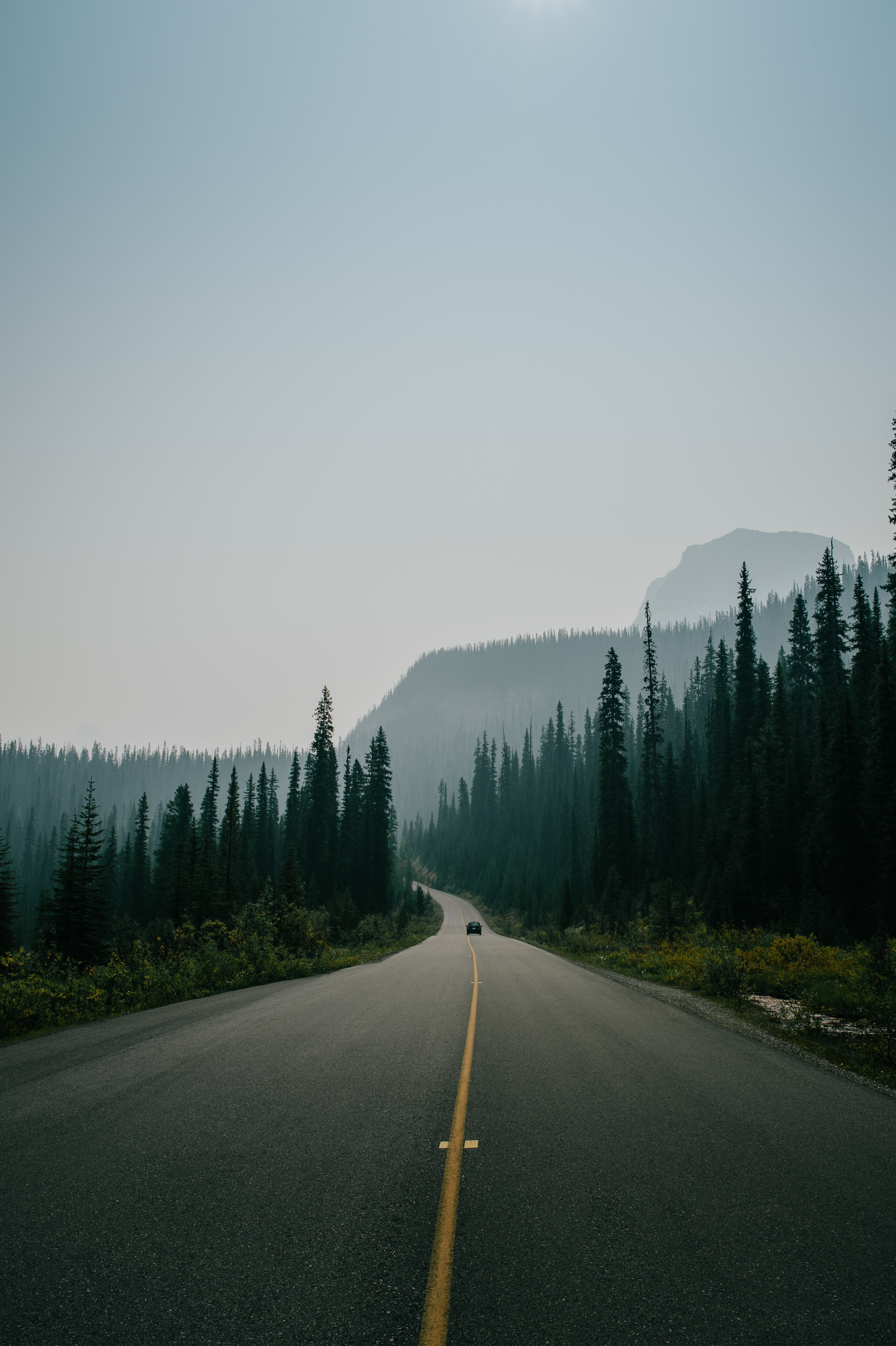 Car on a road through a forest with mountains HD Phone Wallpaper