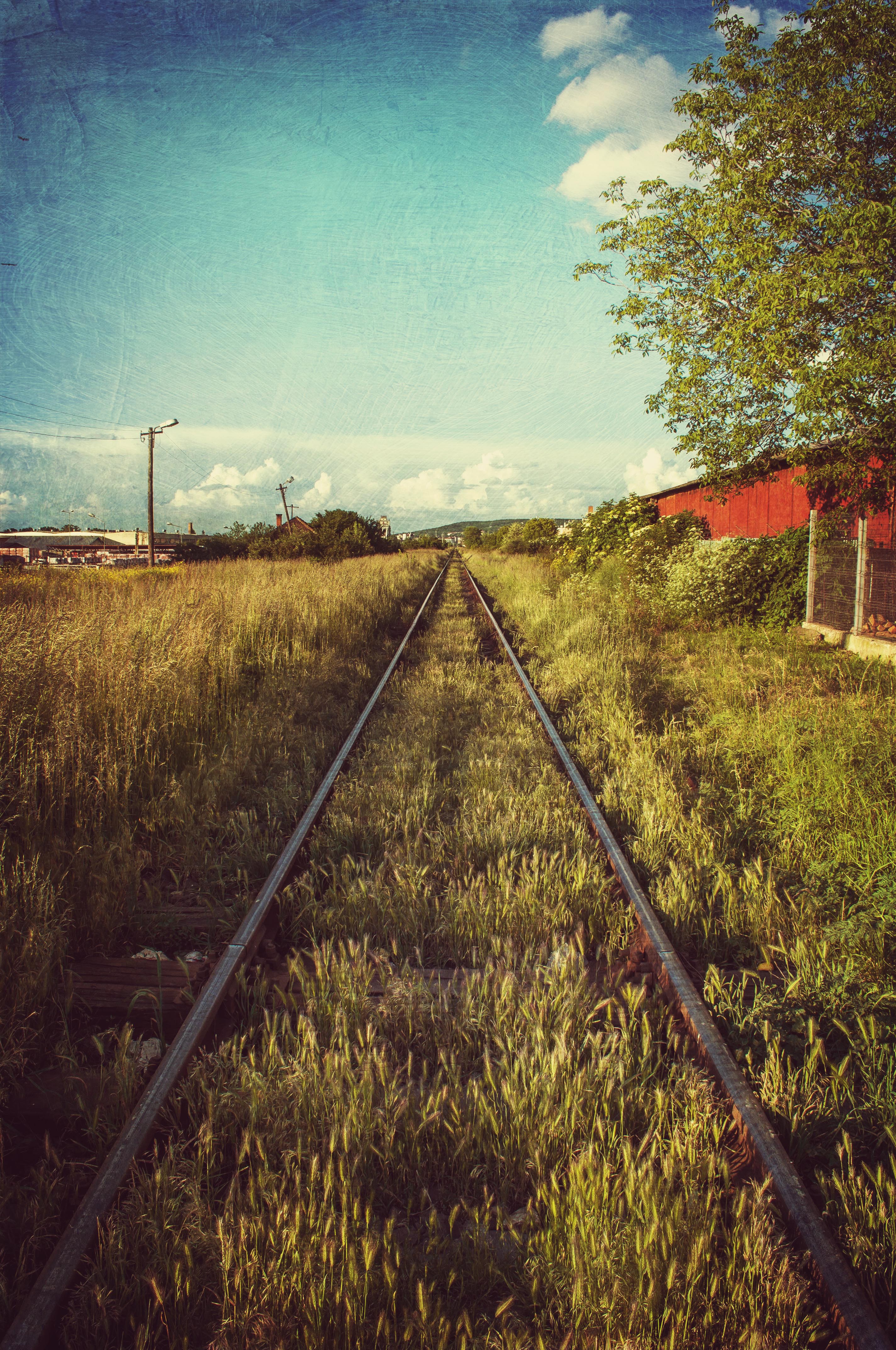 Railroad tracks through tall grass under a blue sky HD Phone Wallpaper