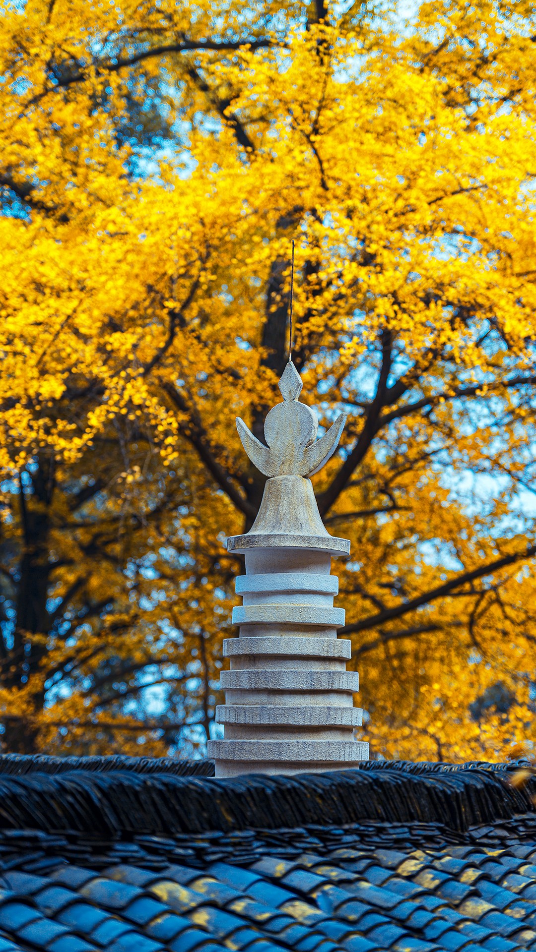 Pagoda on a tiled roof with autumn trees HD Phone Wallpaper