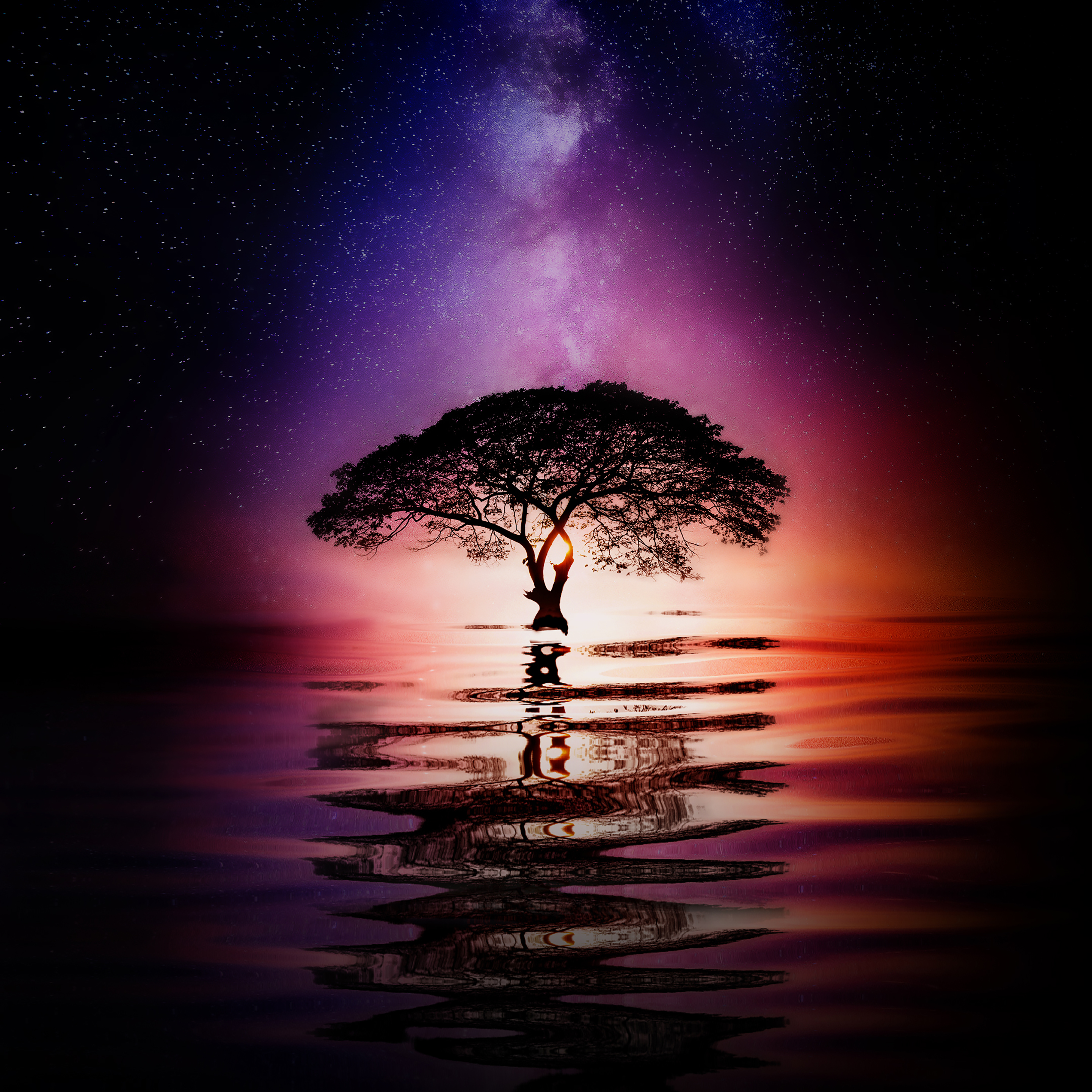 Tree reflecting in water under Milky Way HD Wallpaper