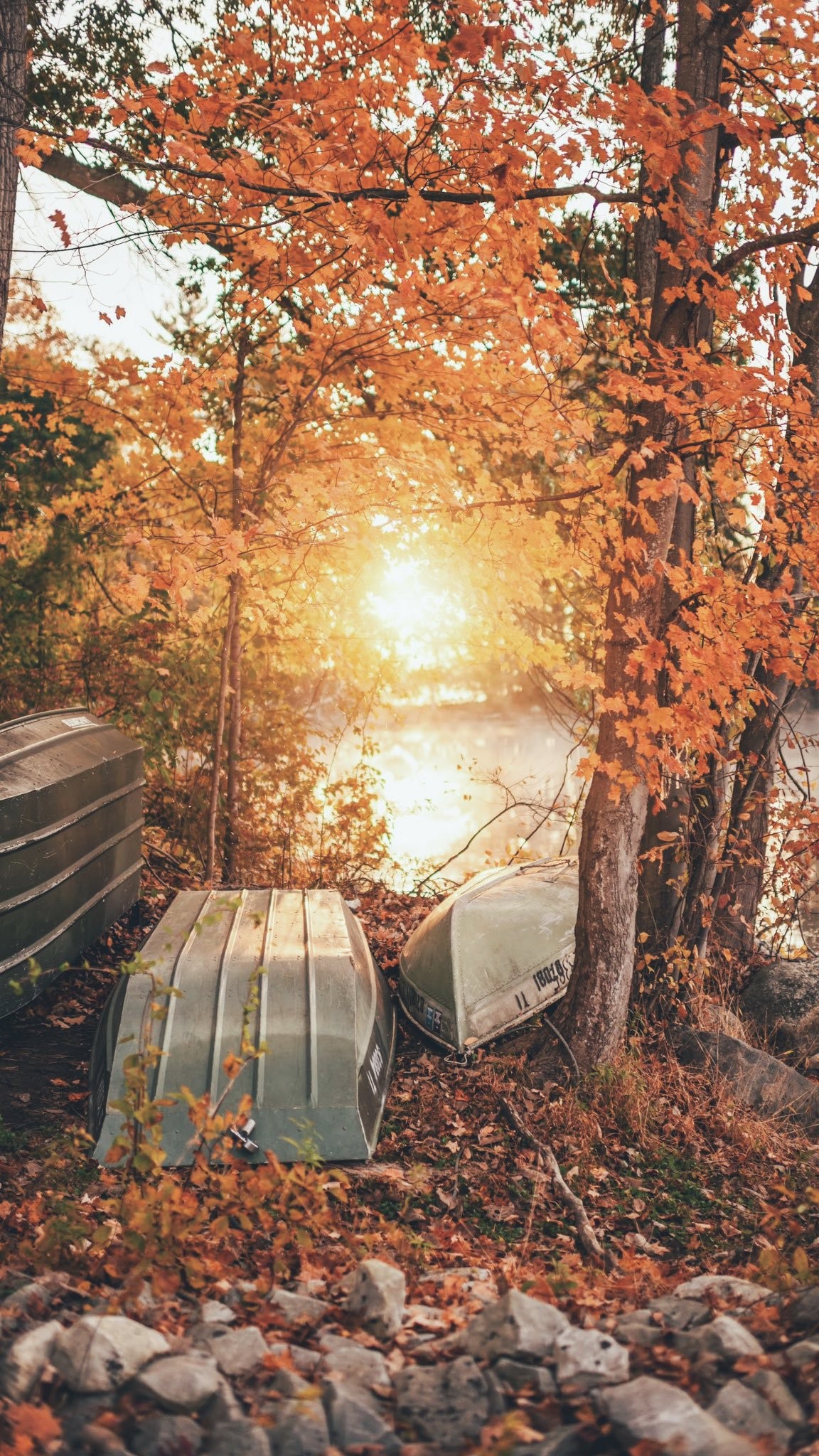 Boats by a lake during fall with sun shining through trees HD Phone Wallpaper