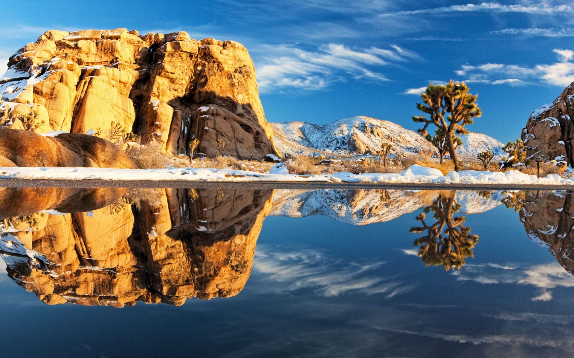 Joshua Tree National Park with Snow and Reflection HD Wallpaper