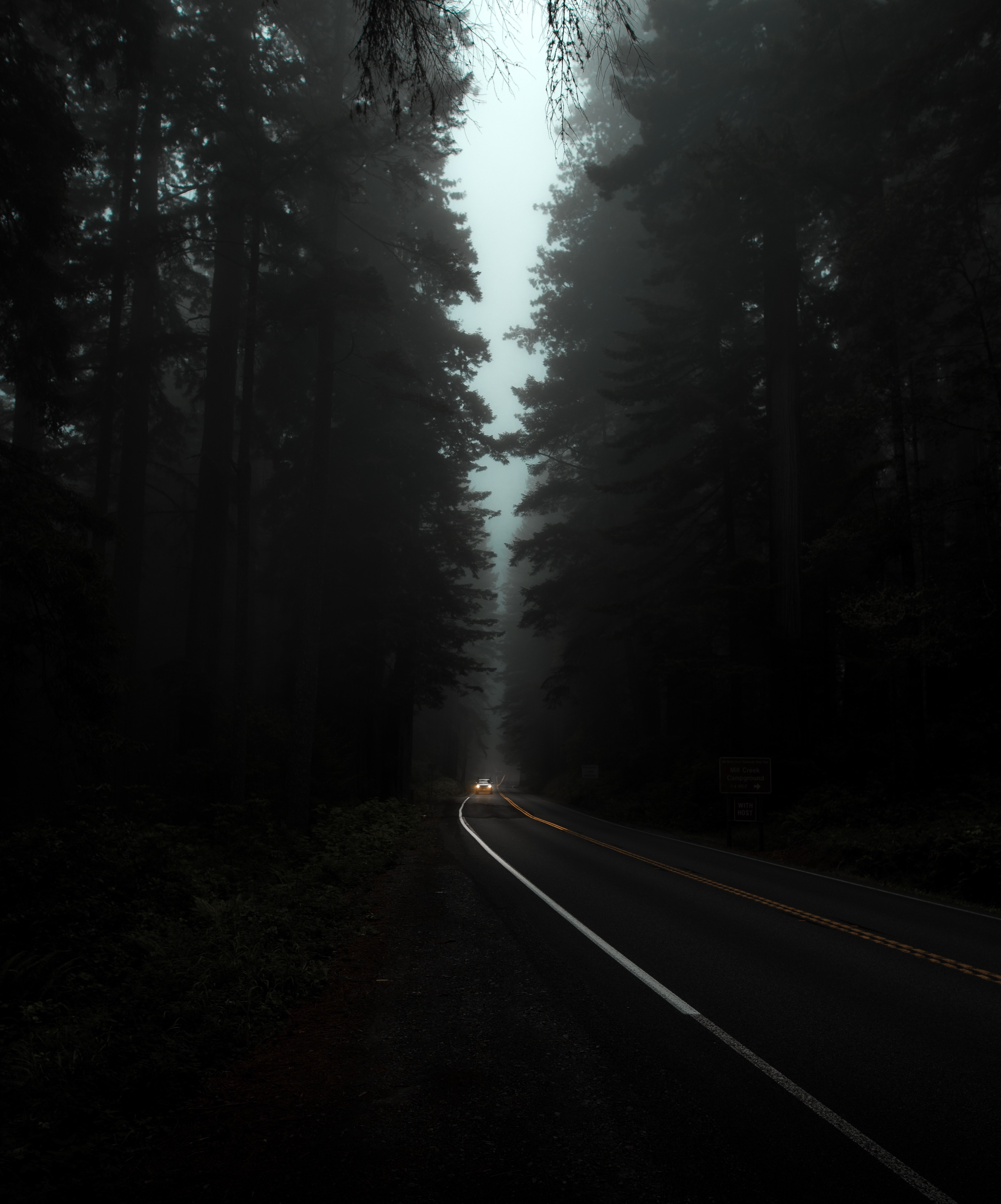 Dark Forest Road with Fog and Cars HD Phone Wallpaper