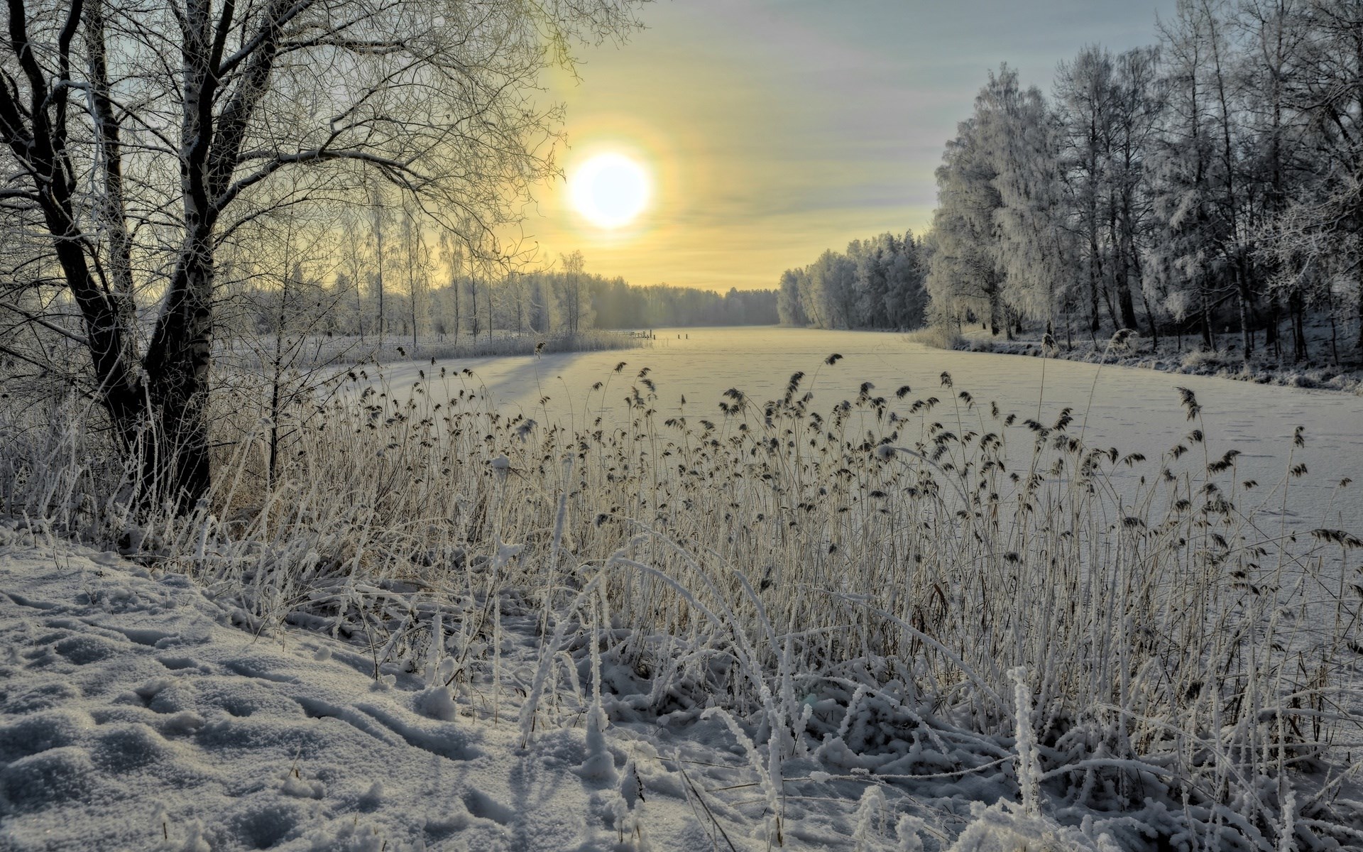 Winter landscape with frozen river and sun HD Wallpaper