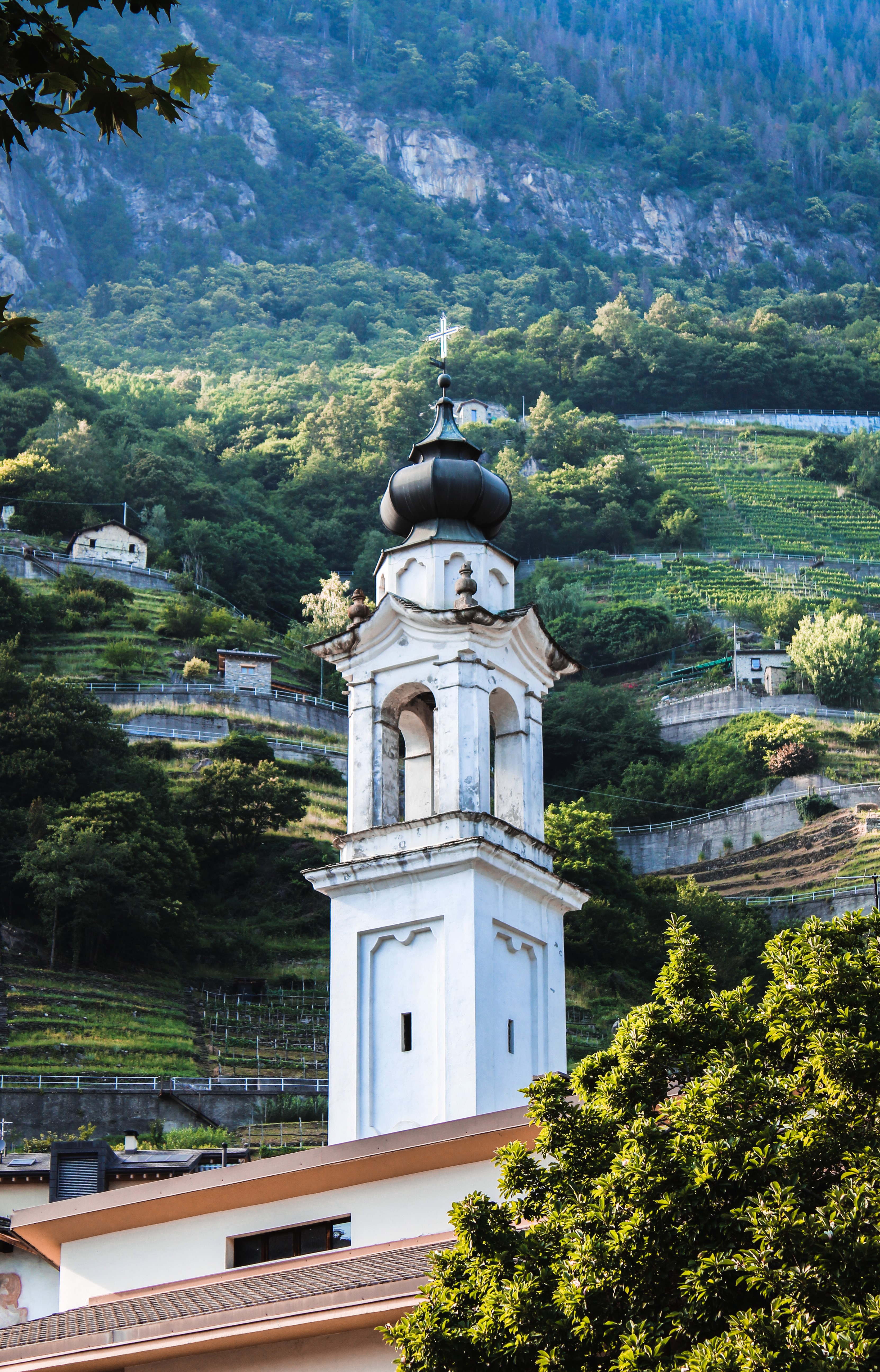 Bell tower in a mountain village with vineyards HD Phone Wallpaper