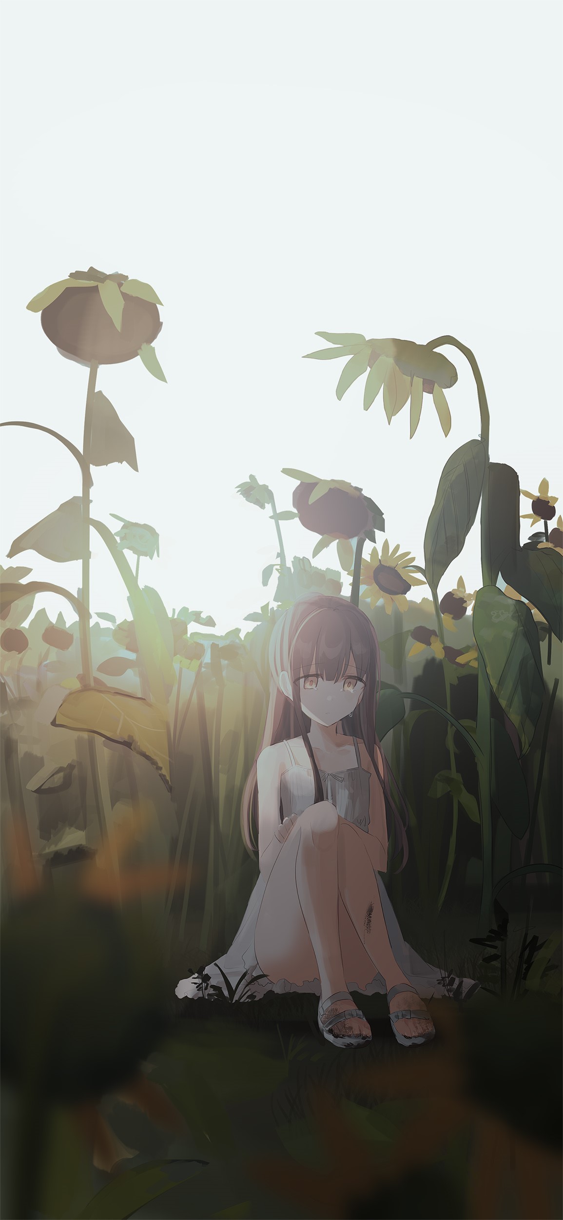 Anime girl with pink hair sitting in a sunflower field HD Phone Wallpaper