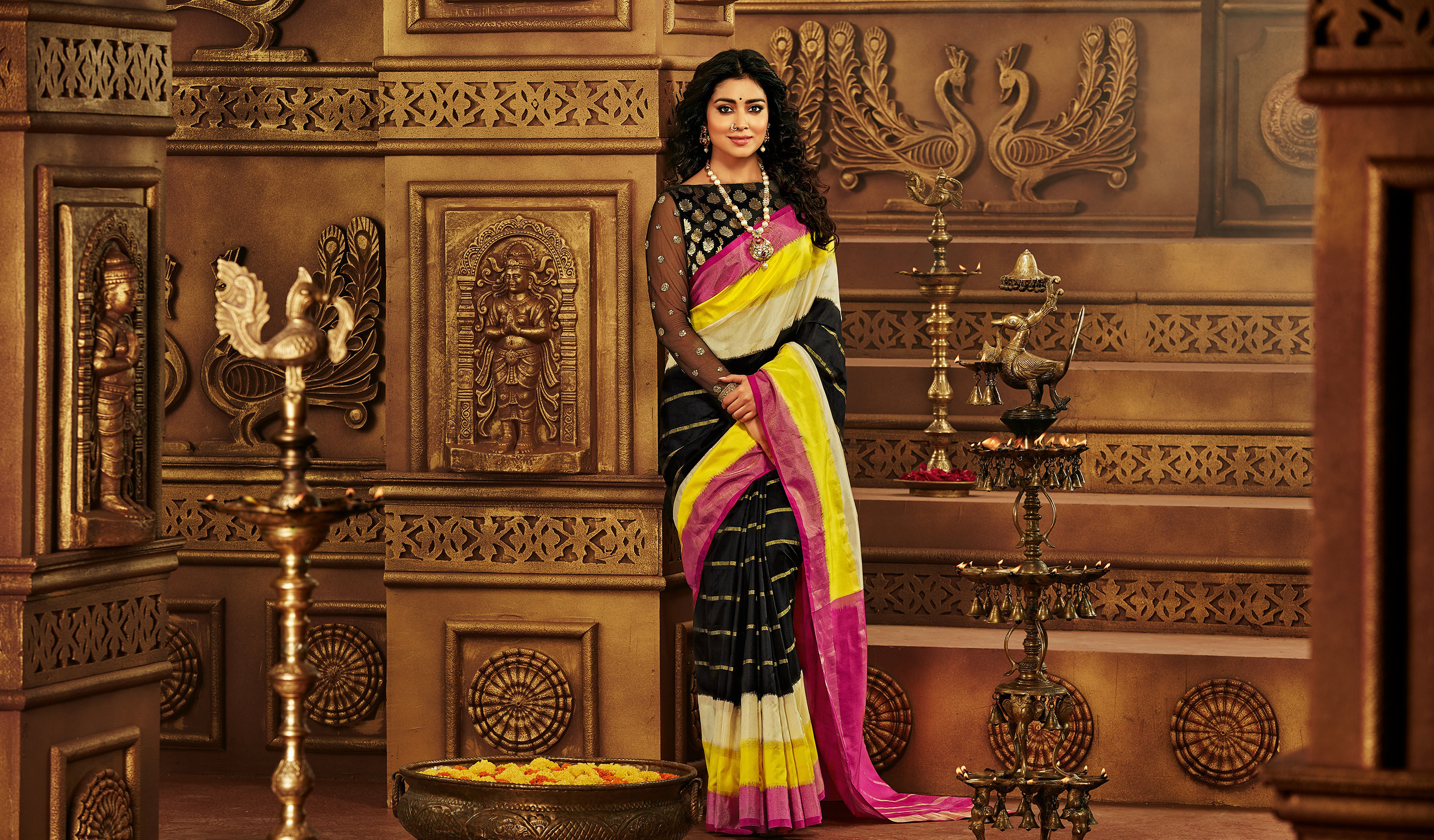 Shriya Saran in a traditional Indian saree HD Wallpaper
