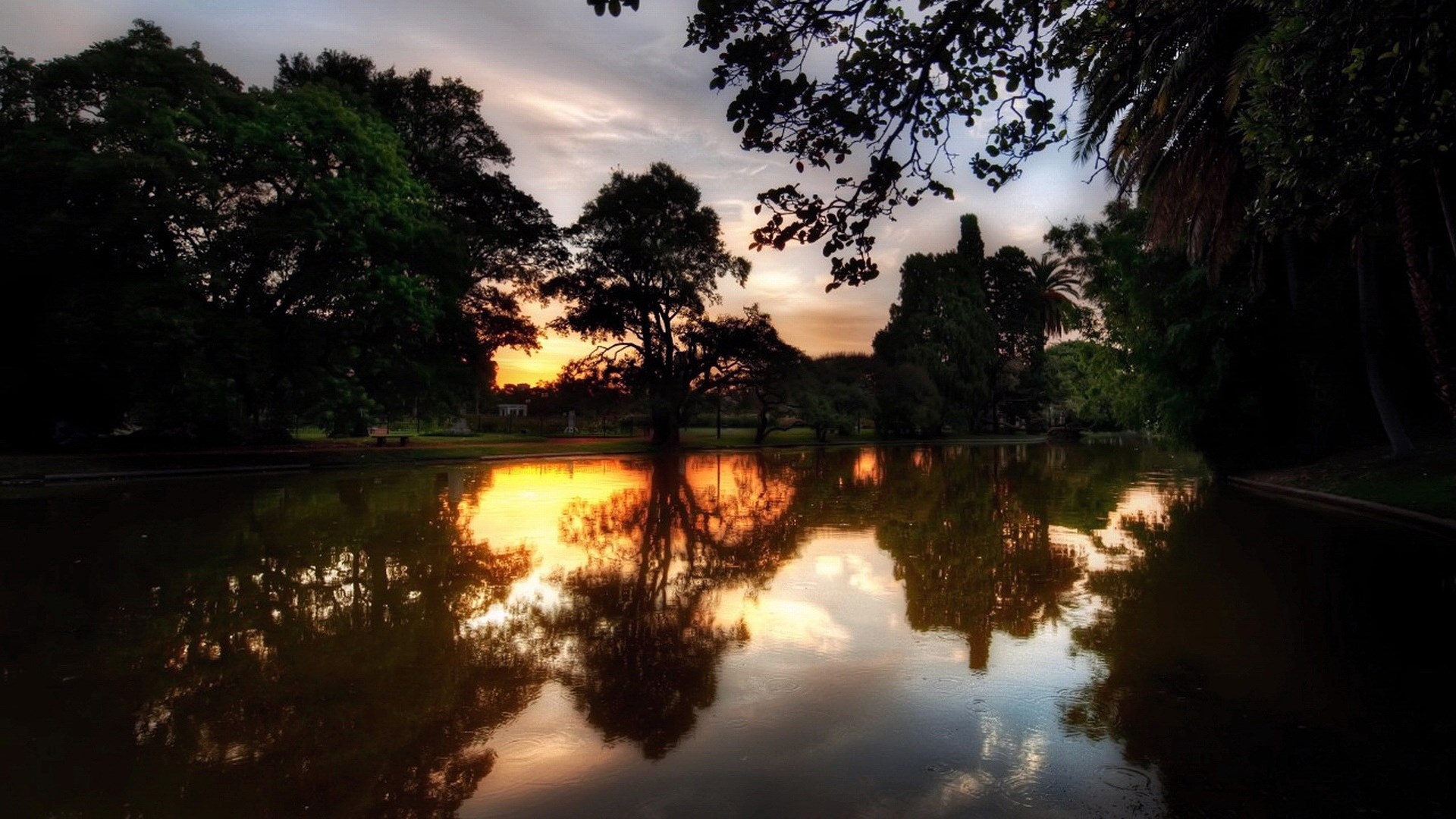 Sunset reflected in a park lake with silhouetted trees HD Wallpaper