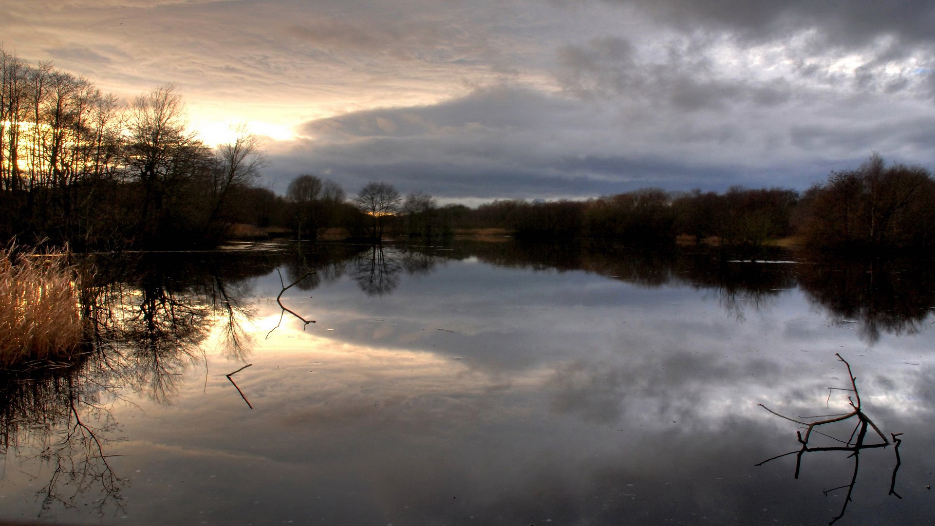 Lake reflection at sunset with bare trees HD Wallpaper