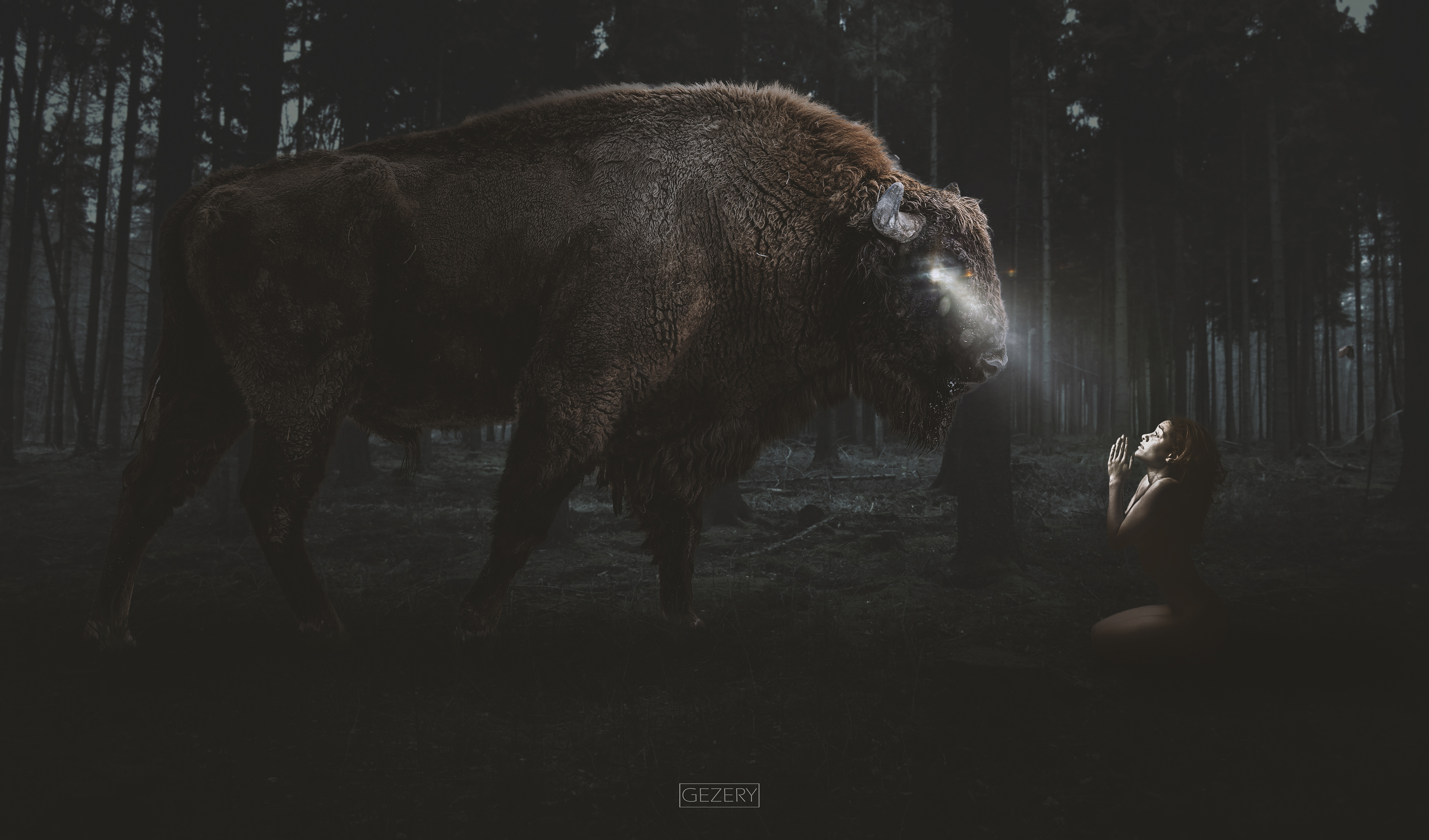 Buffalo and girl in dark forest 4K HD Wallpaper