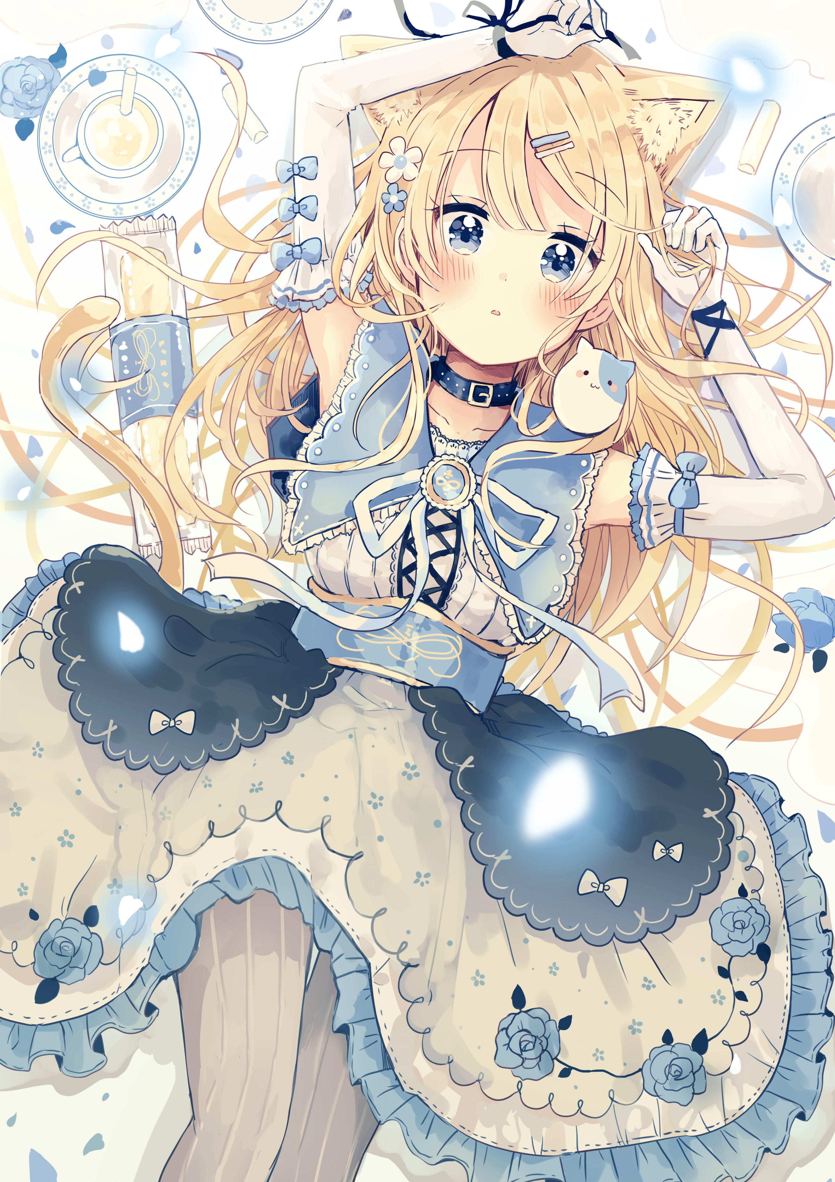 Anime girl with cat ears and blue dress HD Phone Wallpaper