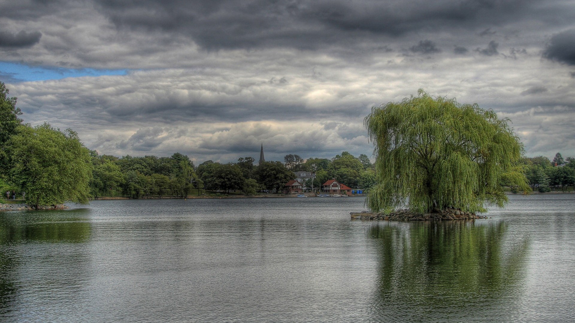Weeping willow tree on a small island in a lake HD Wallpaper