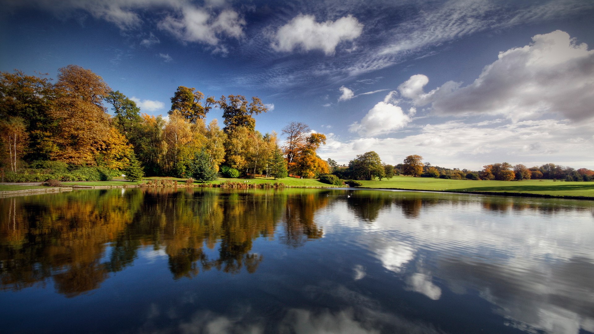 Autumn trees reflected in a lake under a cloudy sky HD Wallpaper