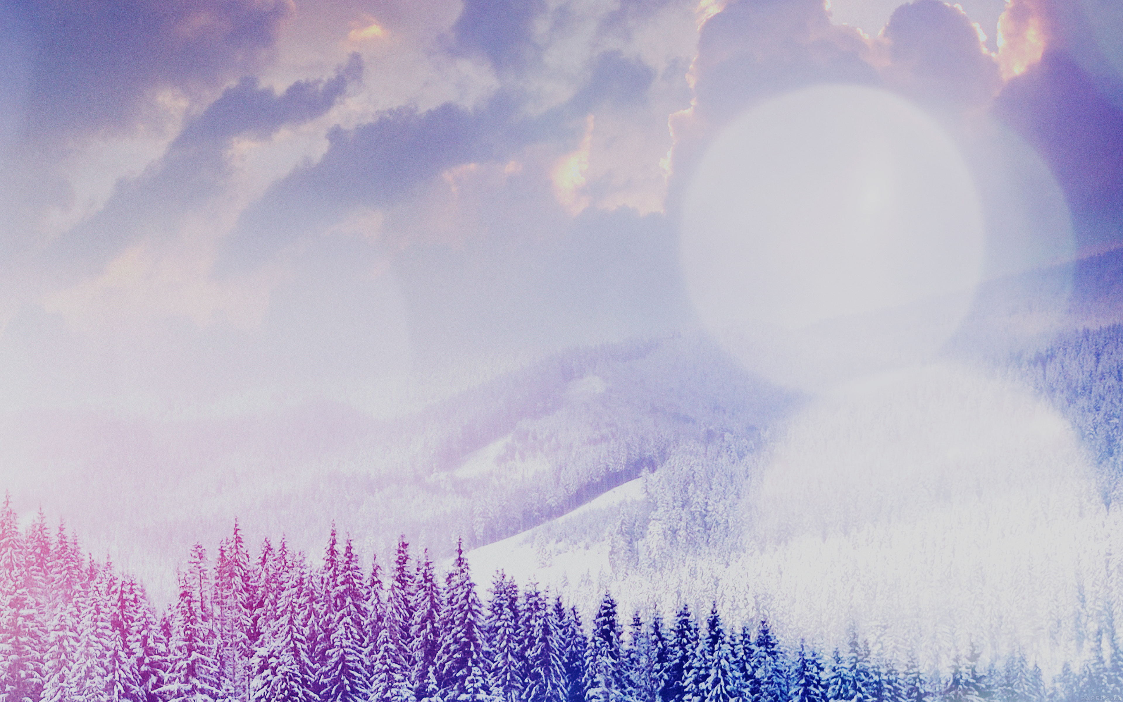 Snowy Mountains with Pine Trees and Lens Flare HD Wallpaper