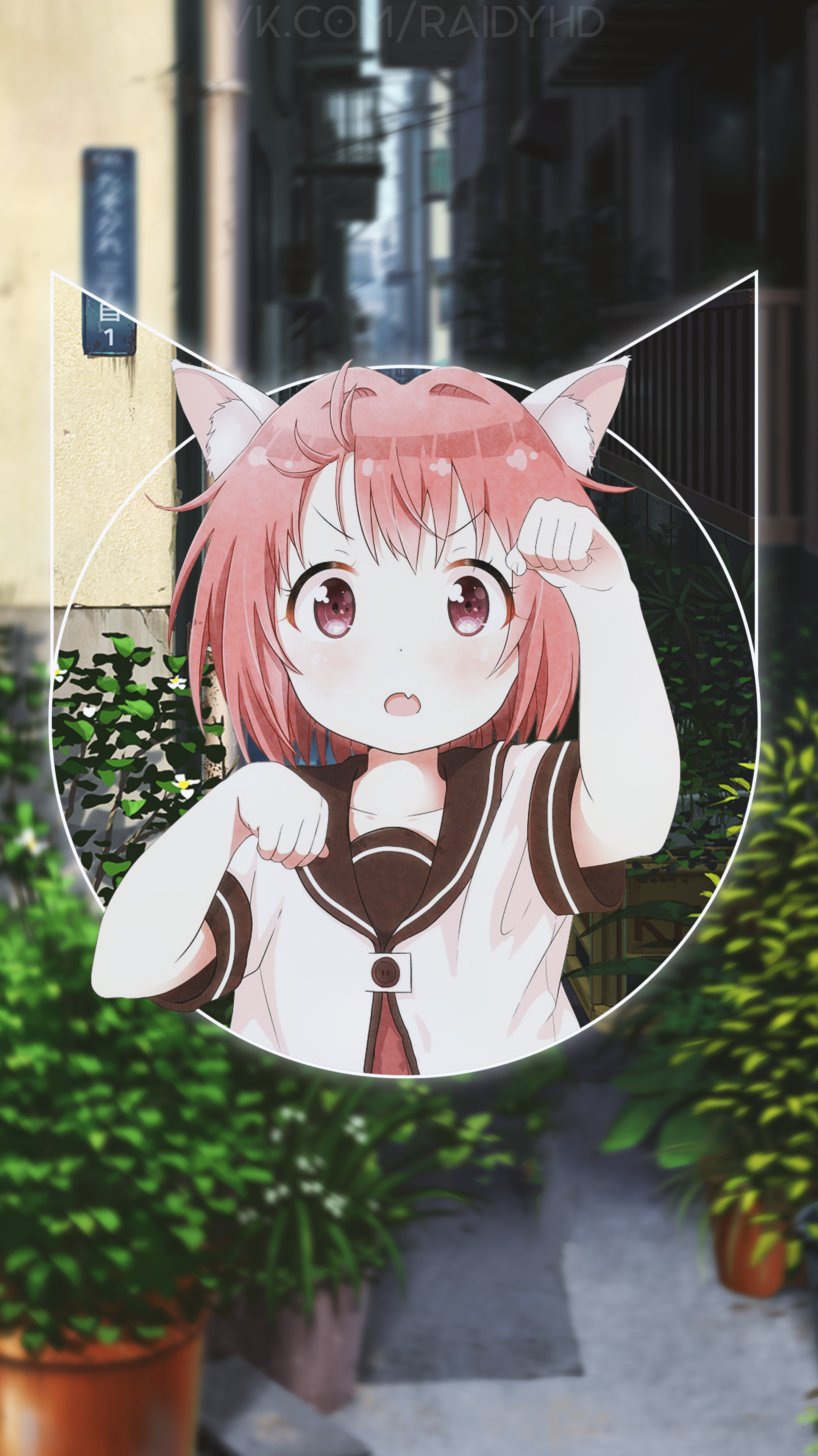 Akaza Akari from Yuru Yuri with cat ears HD Phone Wallpaper