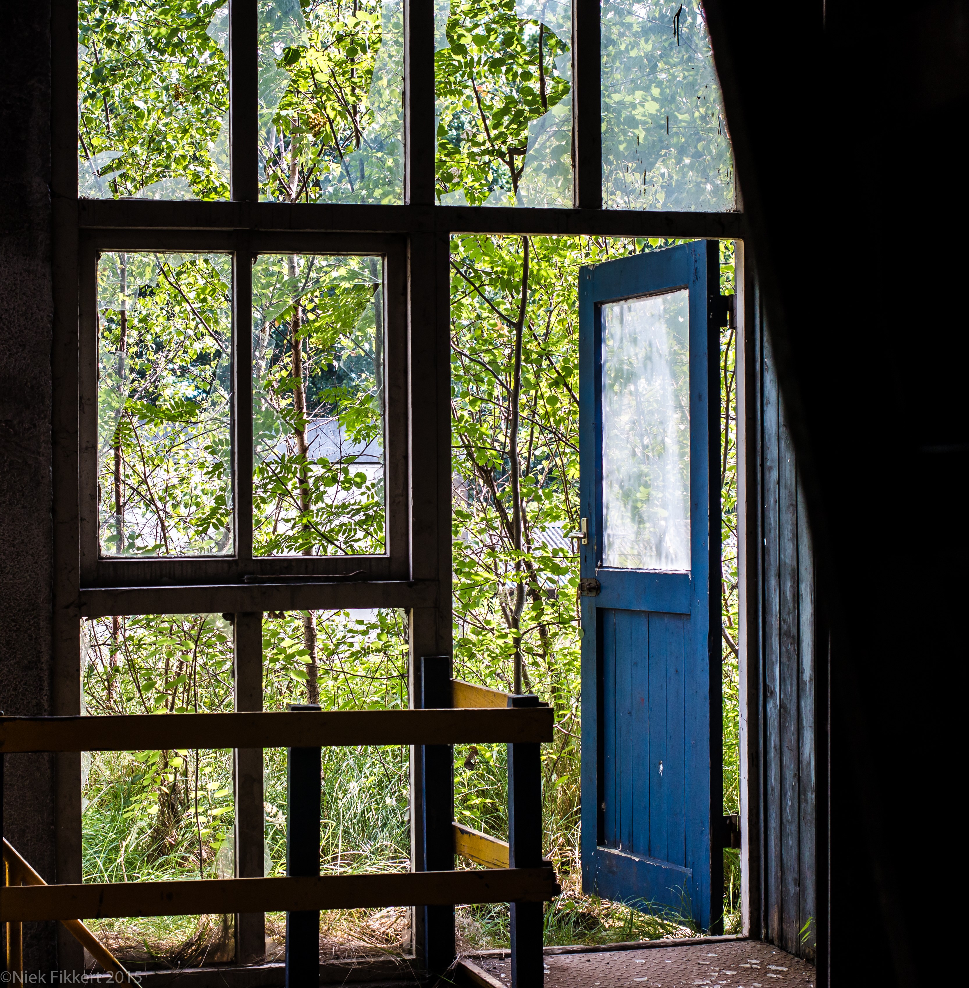 Abandoned factory with open blue door and overgrown garden HD Phone Wallpaper