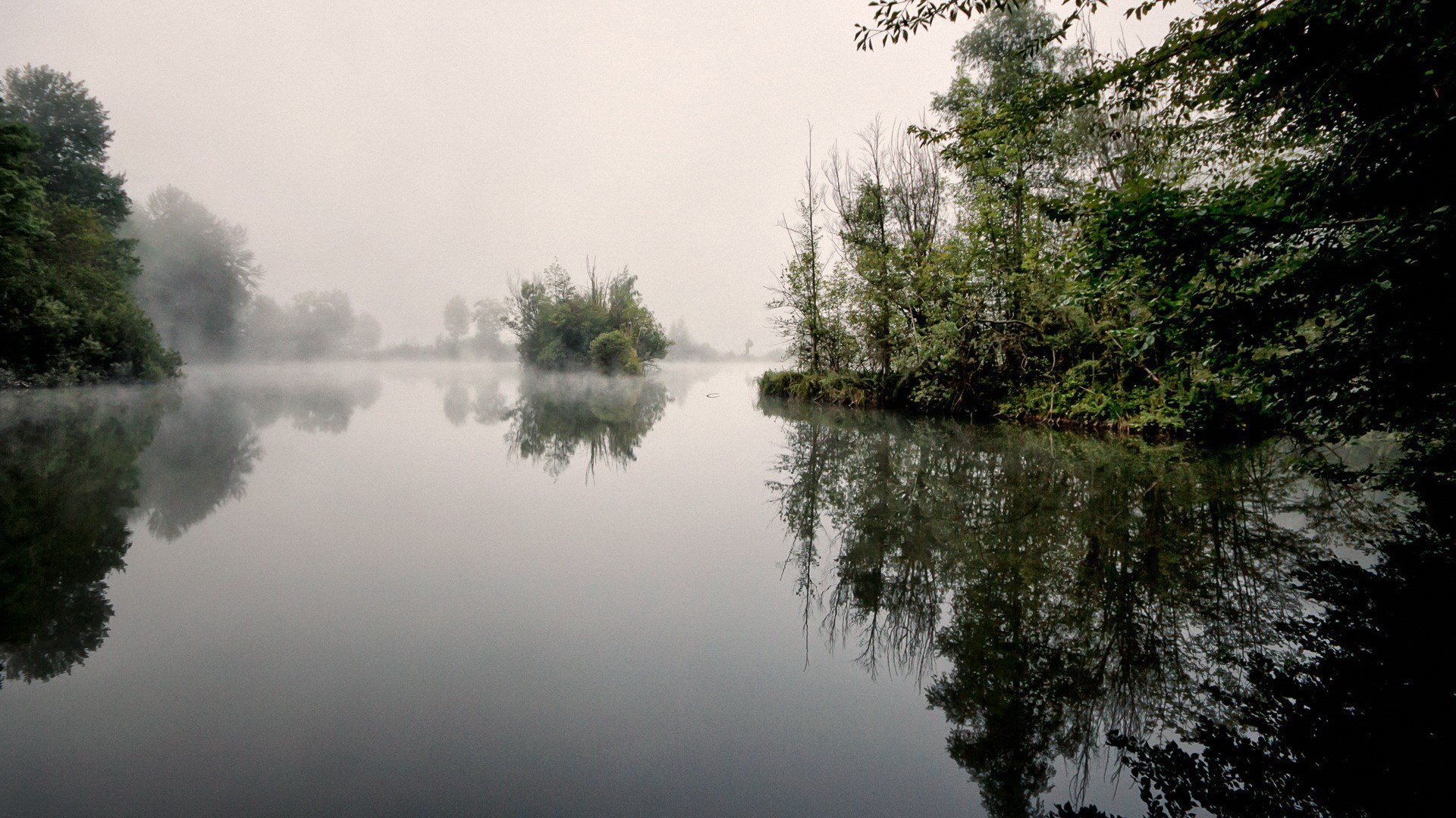 Misty lake with trees and reflections HD Wallpaper