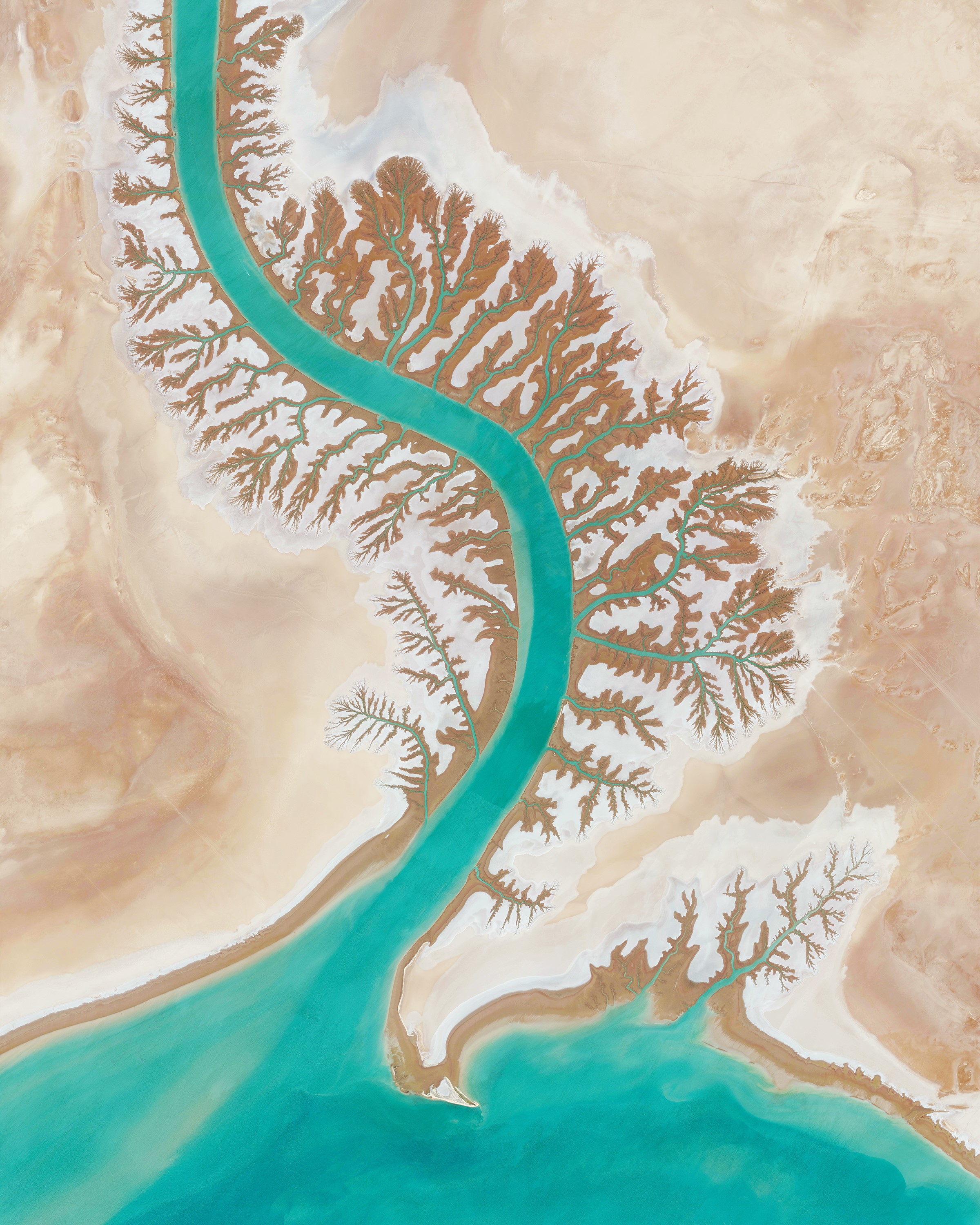 Aerial view of a turquoise river delta in a desert HD Phone Wallpaper