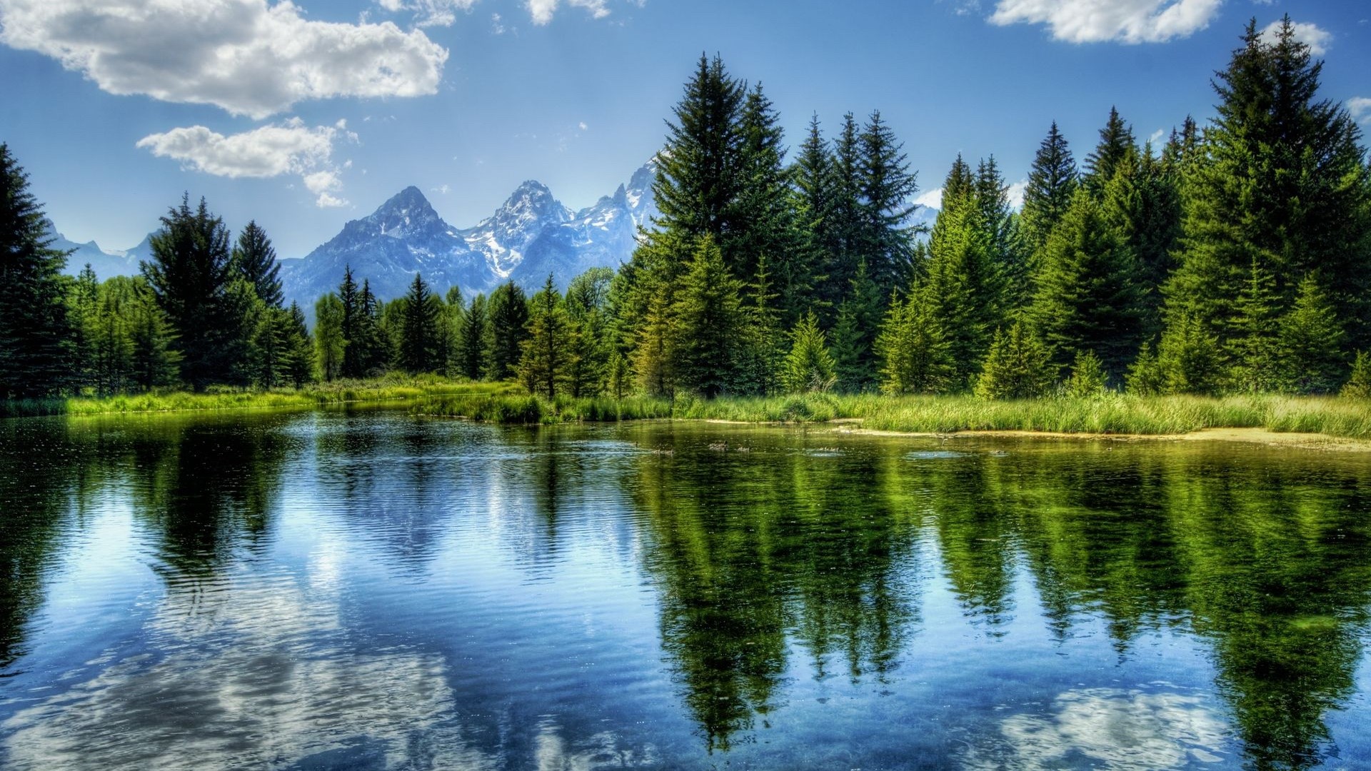 Lake and Mountains with Pine Trees HD Wallpaper