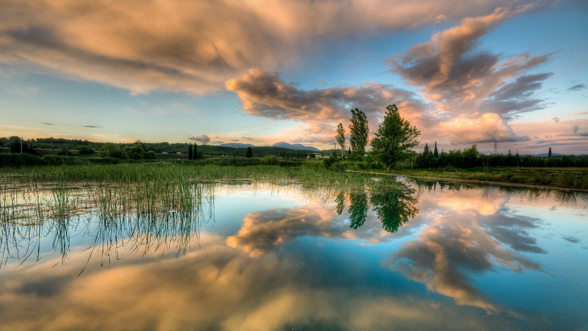 Sunset clouds reflected in a calm lake with reeds HD Wallpaper