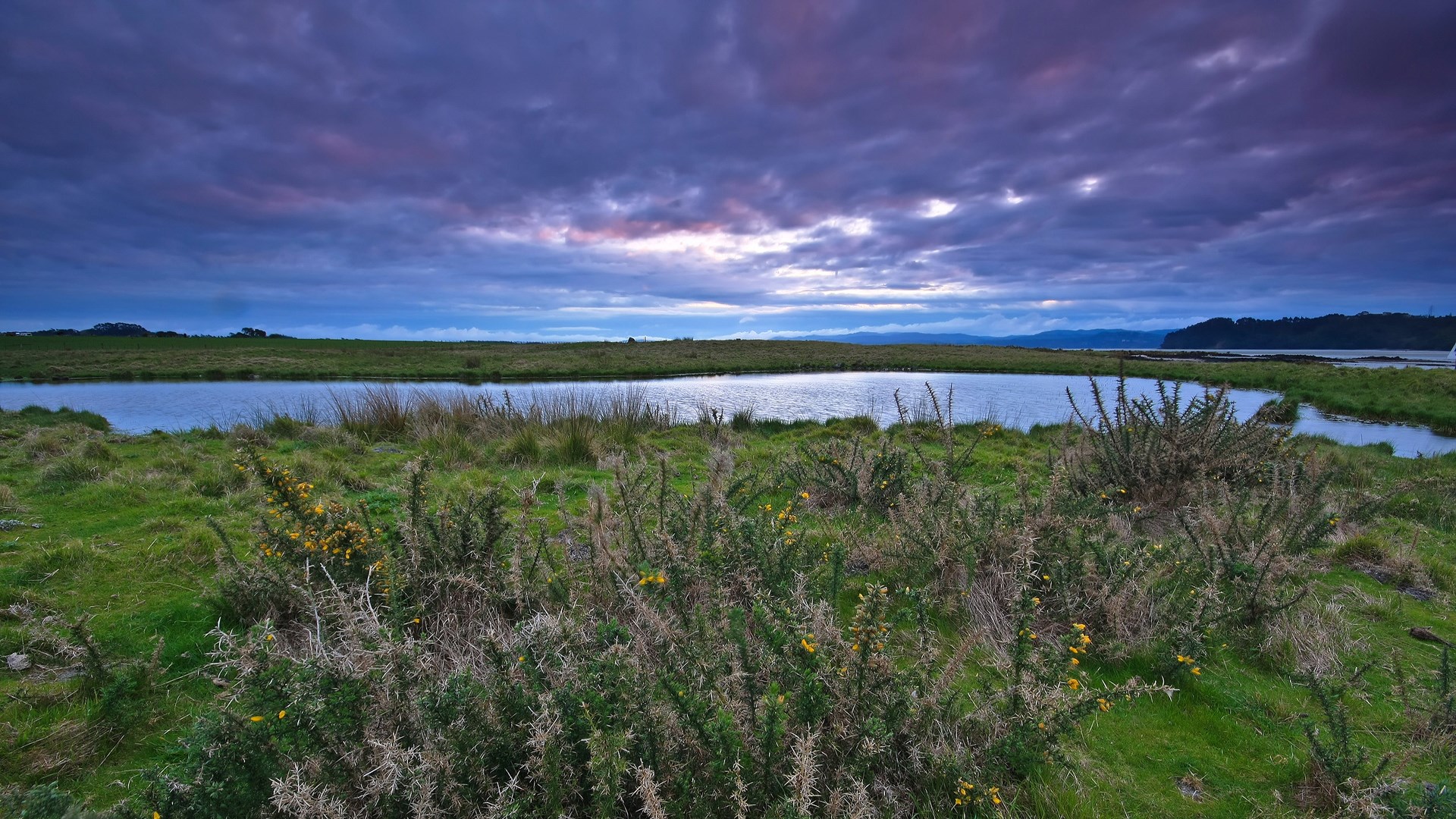 Grassy landscape with a body of water under a cloudy sky HD Wallpaper