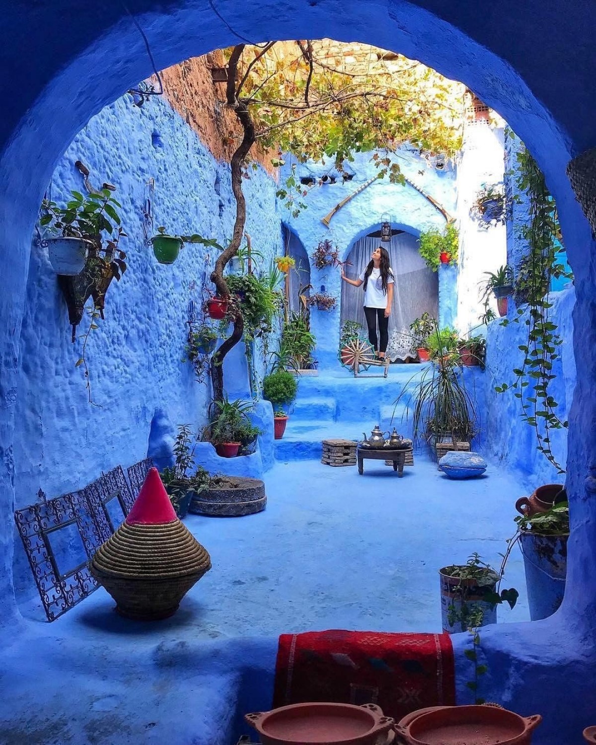 Woman in blue courtyard with plants in Morocco HD Phone Wallpaper