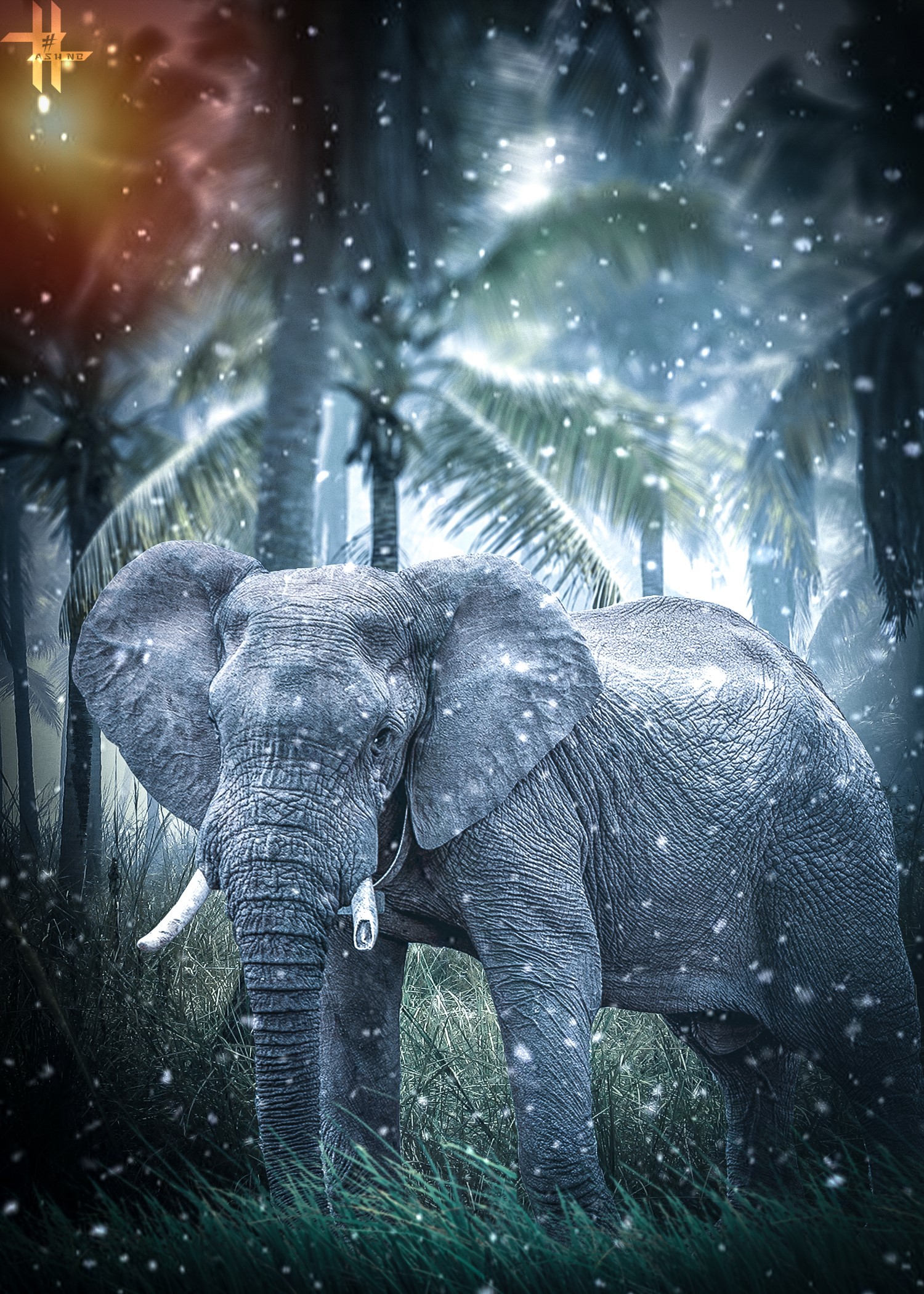 Elephant in a snowy jungle with palm trees HD Phone Wallpaper
