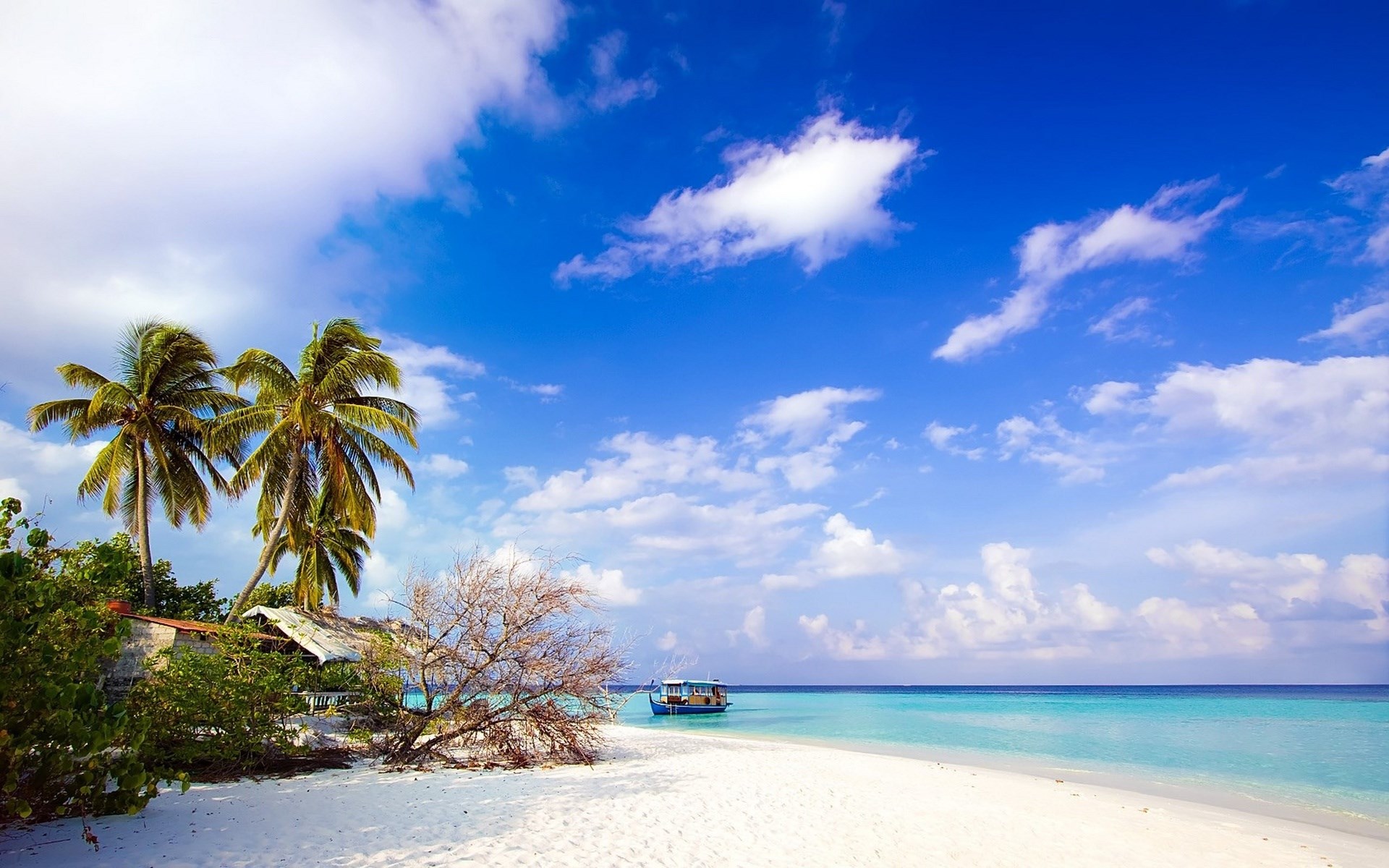 Tropical beach with palm trees and a boat HD Wallpaper