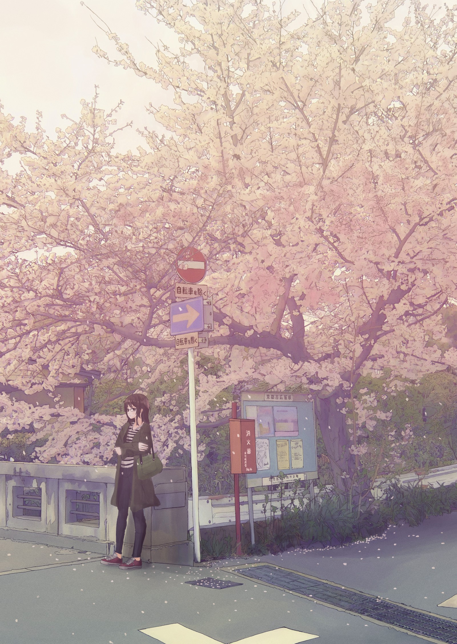 Anime girl under cherry blossom tree HD Phone Wallpaper