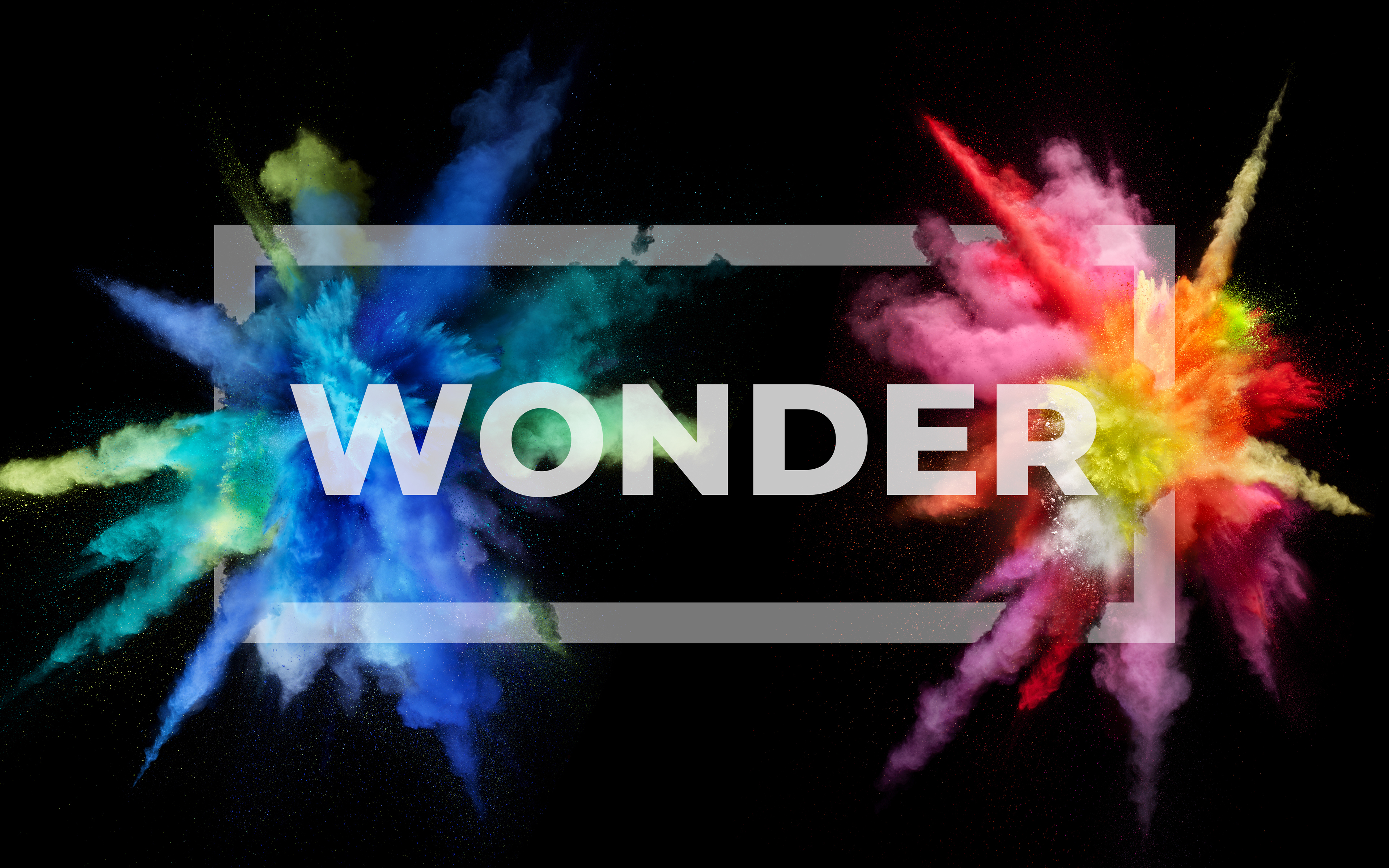 Wonder 4K HD Wallpaper