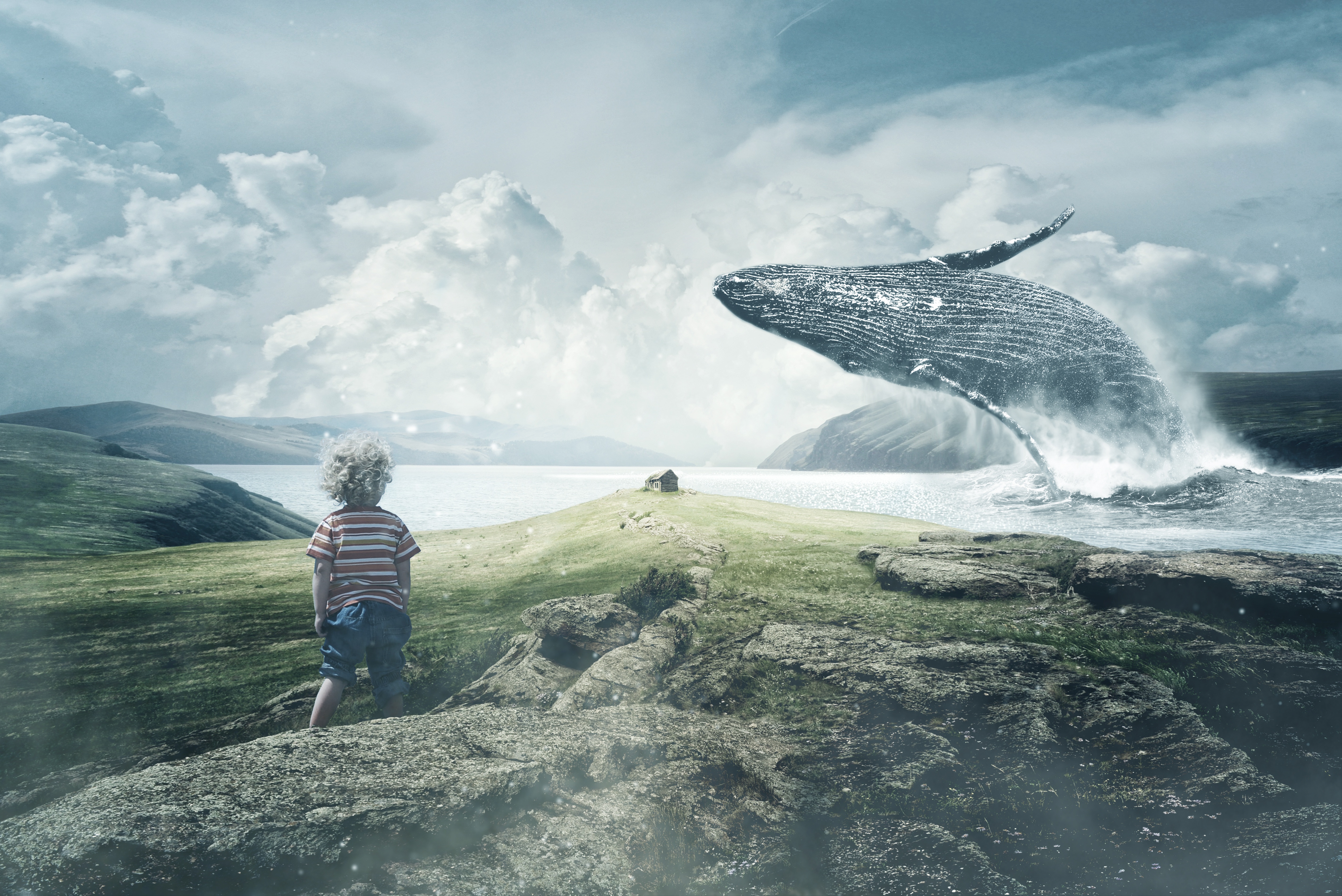 Boy watches a whale jump out of the sea HD Wallpaper