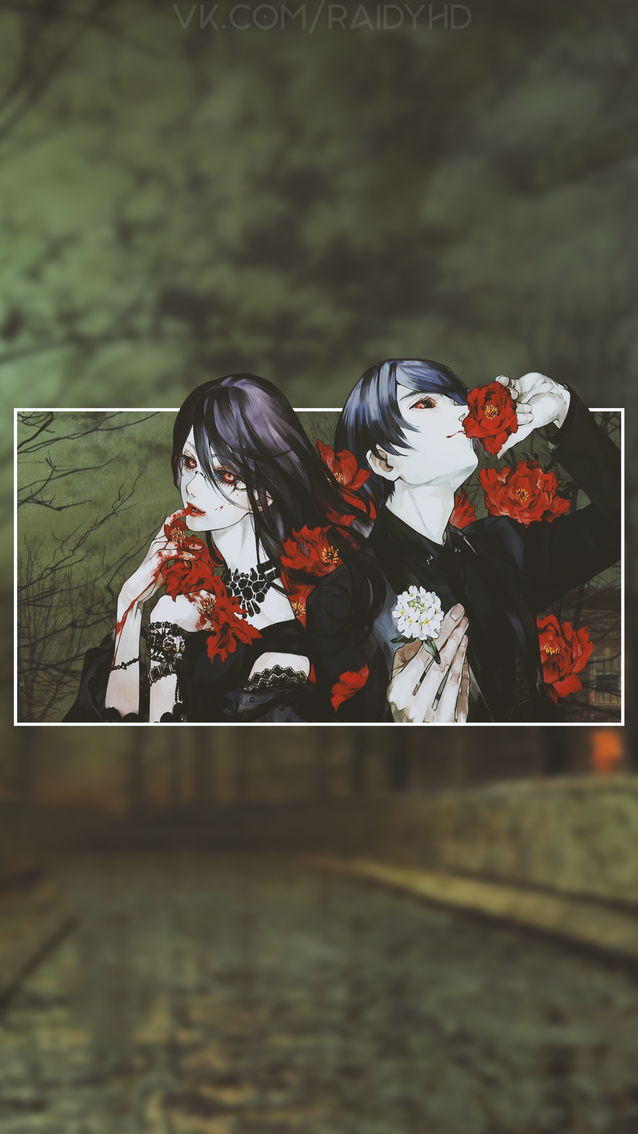 Anime couple with red and white roses HD Phone Wallpaper