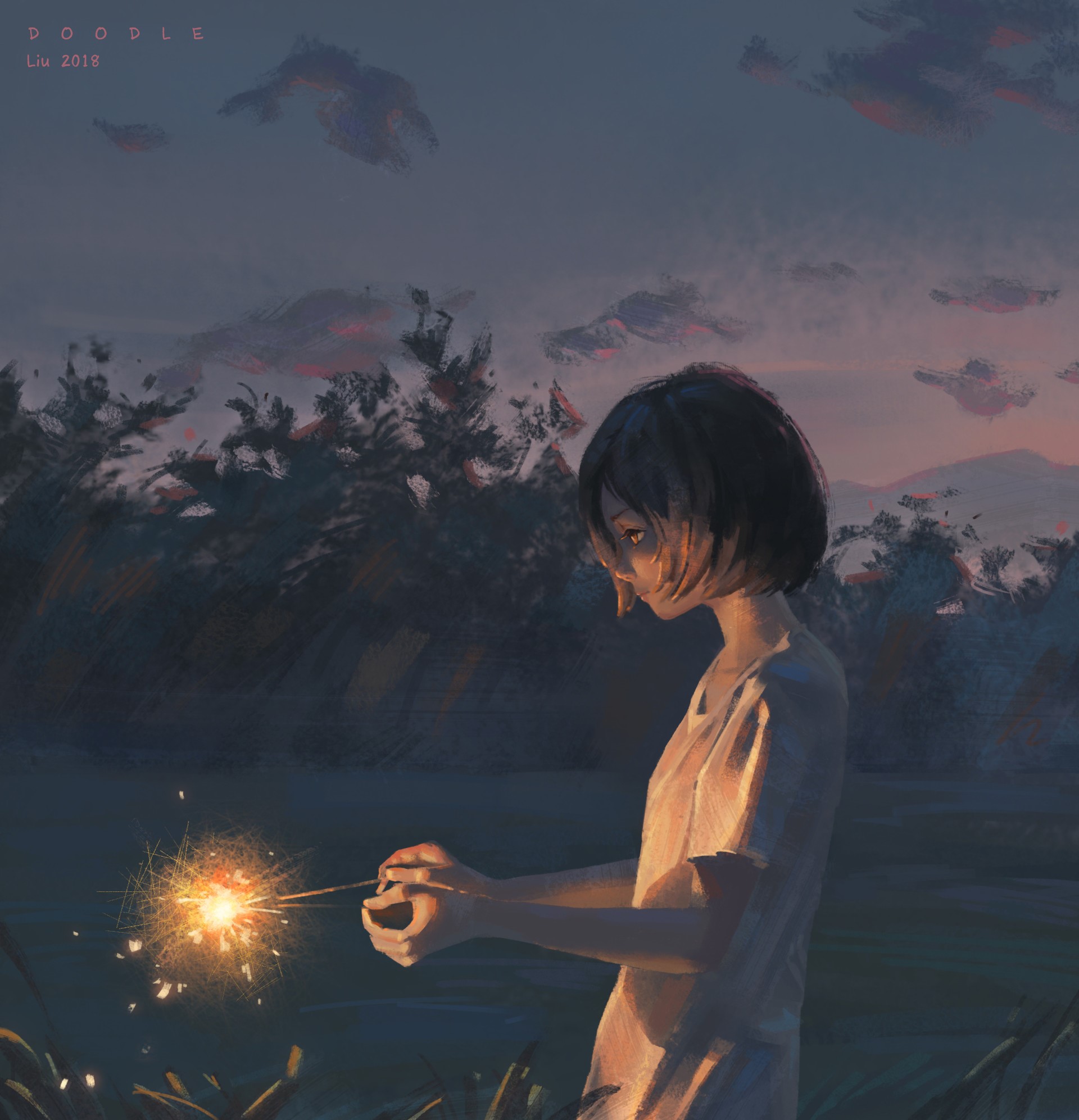 Anime girl with sparkler at dusk HD Phone Wallpaper