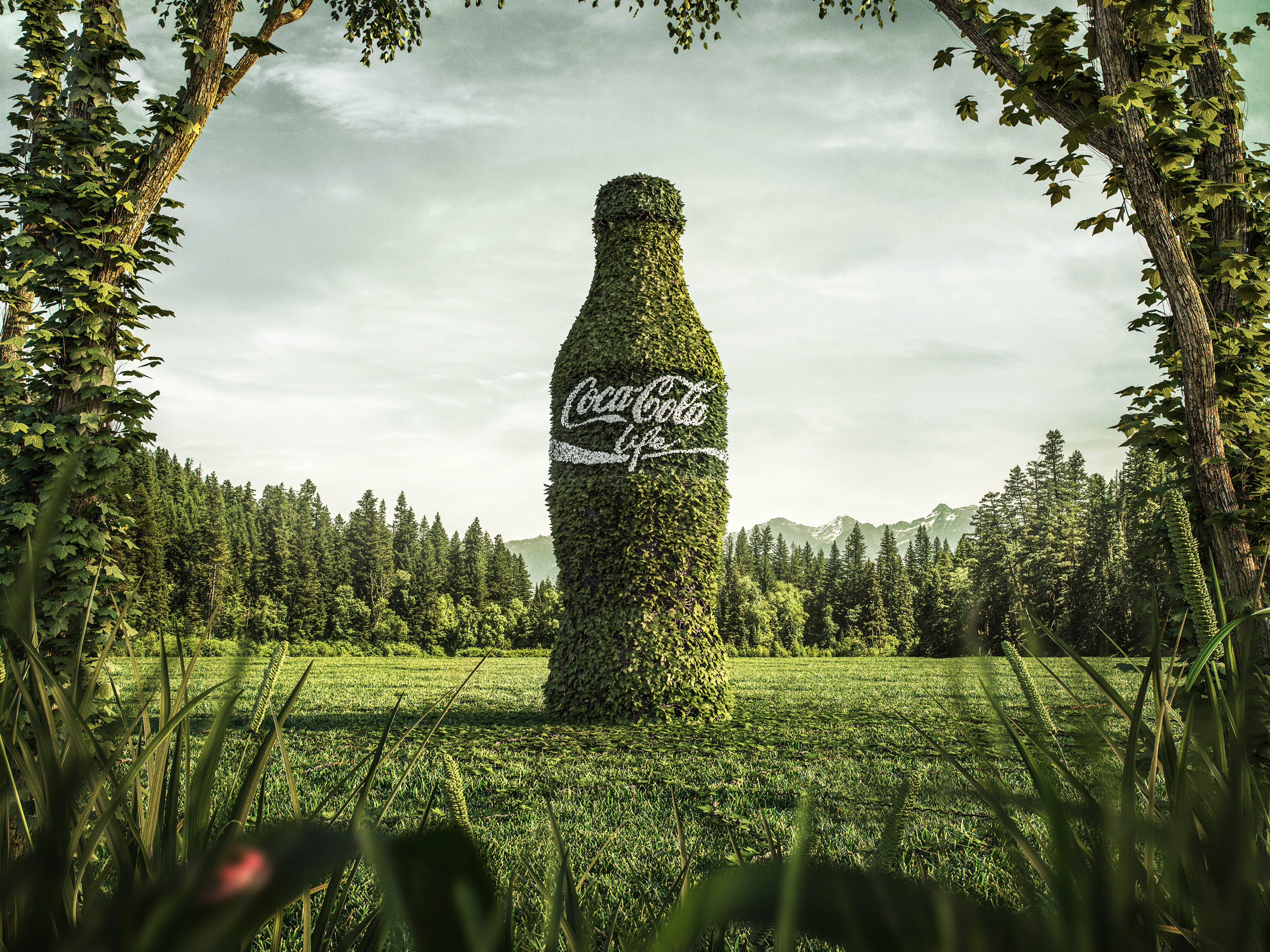 Coca-Cola Life bottle made of leaves in a forest HD Wallpaper