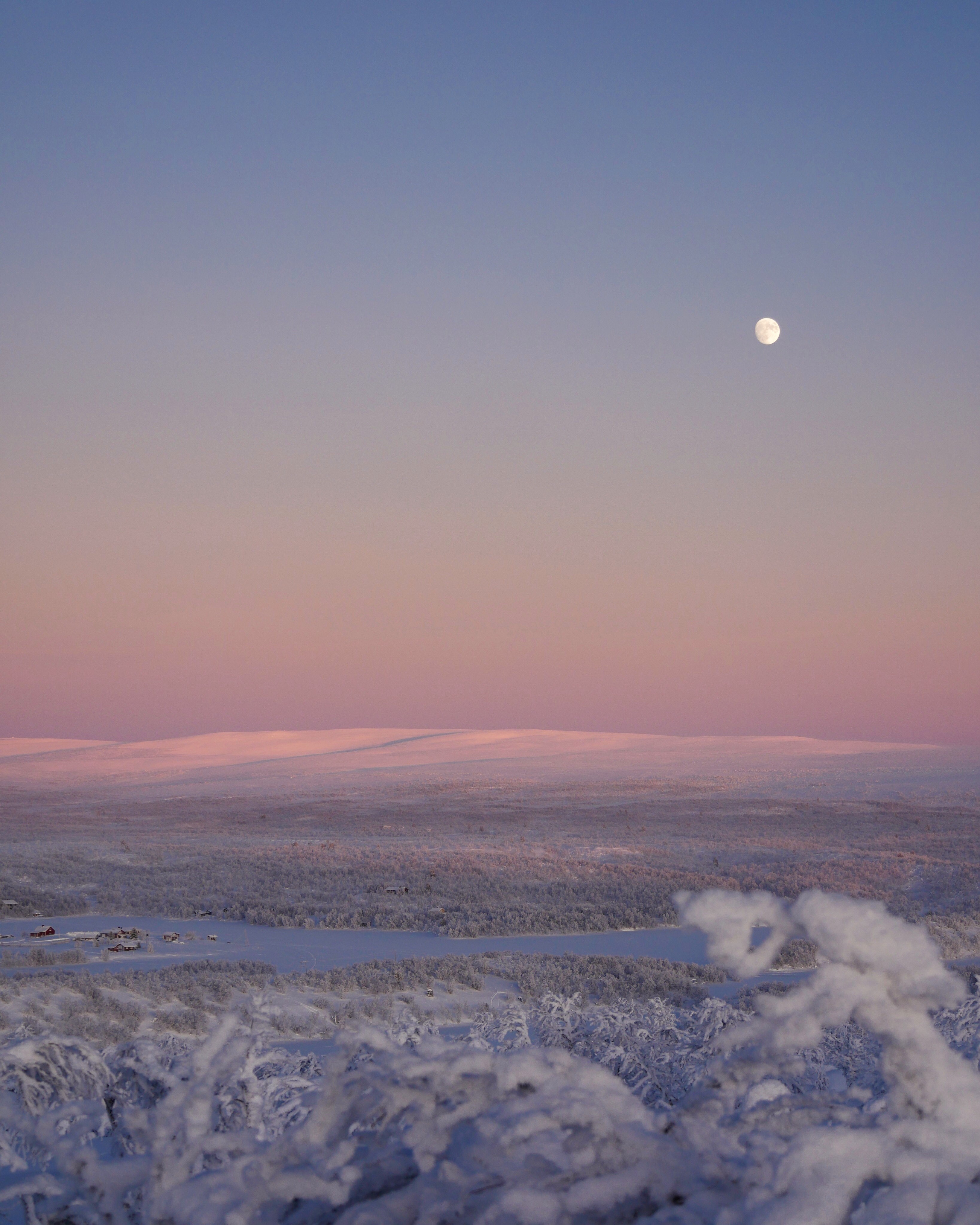Winter landscape with moon at dusk HD Phone Wallpaper