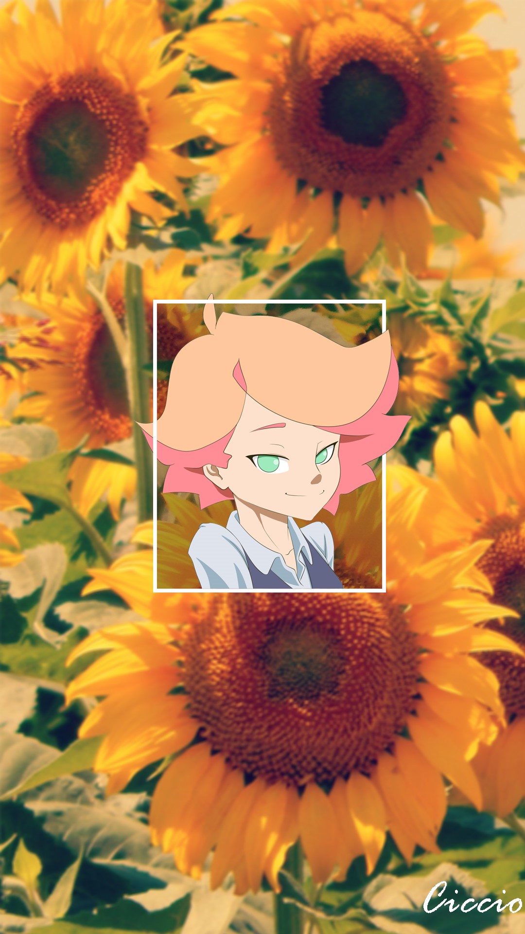 Akko Kagari from Little Witch Academia with Sunflowers HD Phone Wallpaper