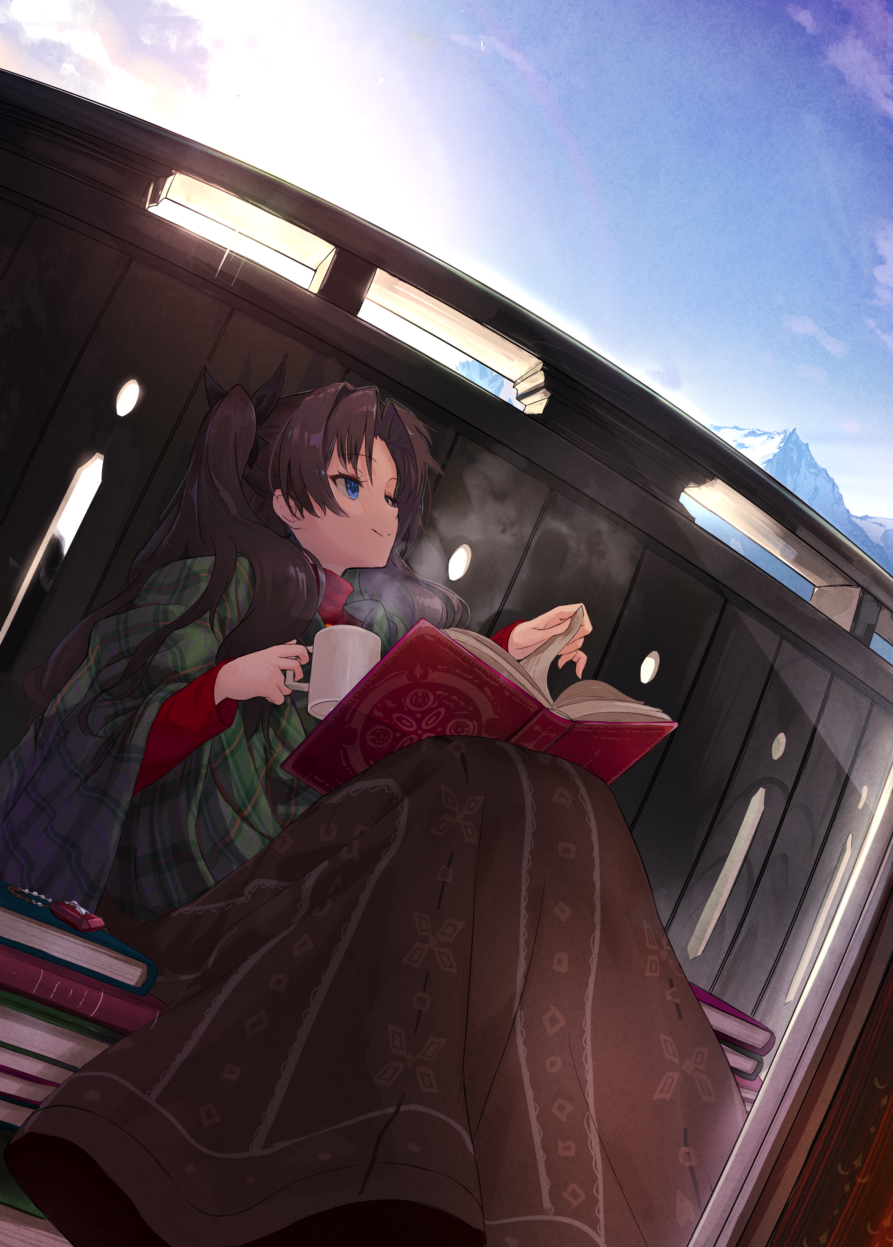 Rin Tohsaka from Fate Series reading a book on a train HD Phone Wallpaper