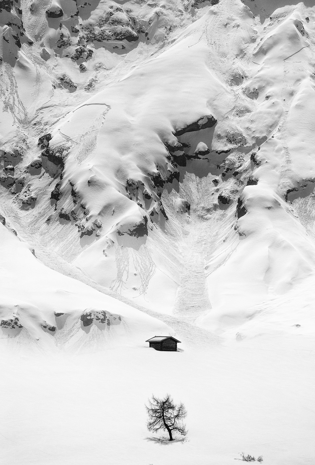 Monochrome winter landscape with cabin and tree HD Phone Wallpaper