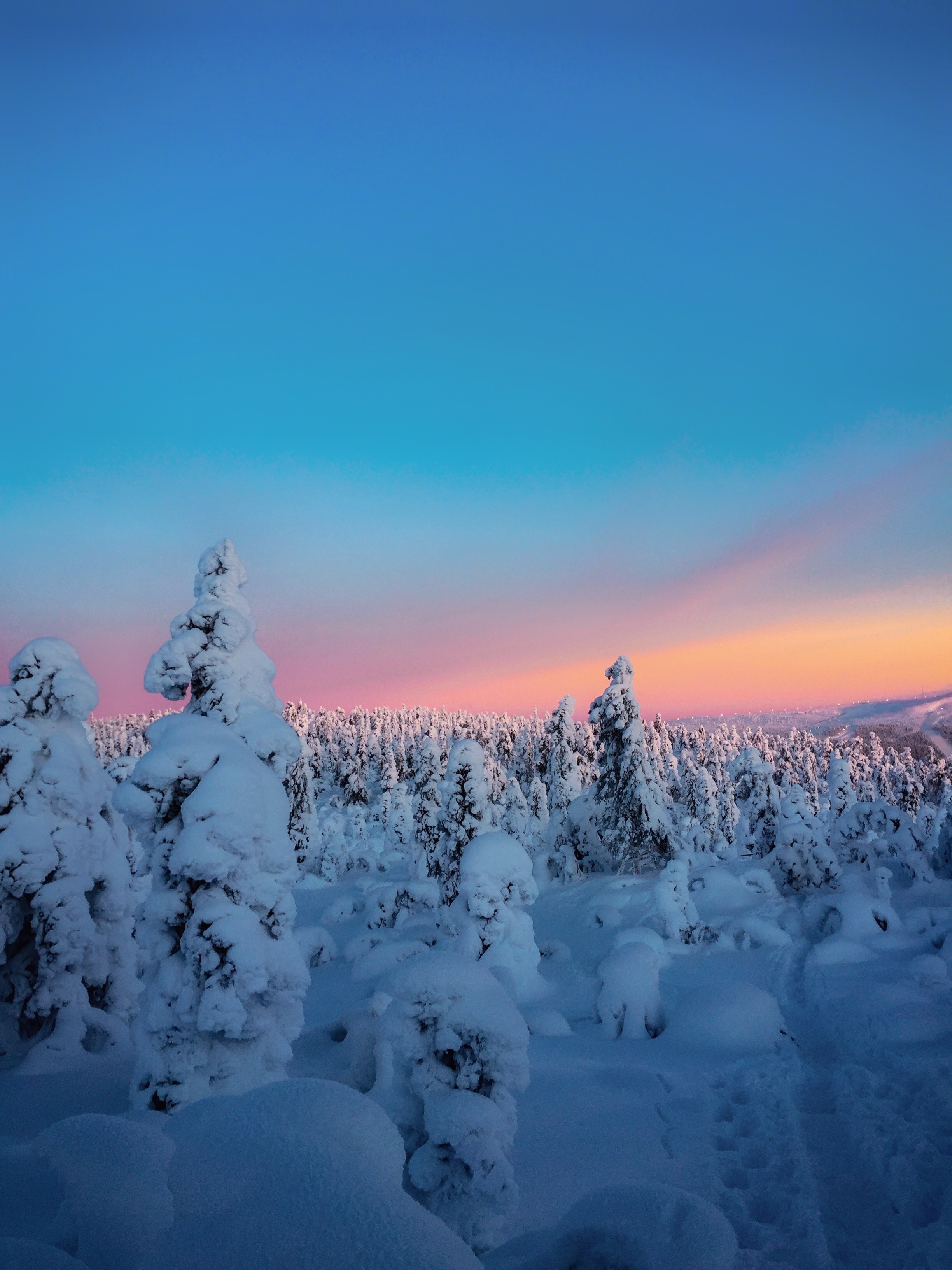 Snow-covered trees at sunset HD Phone Wallpaper