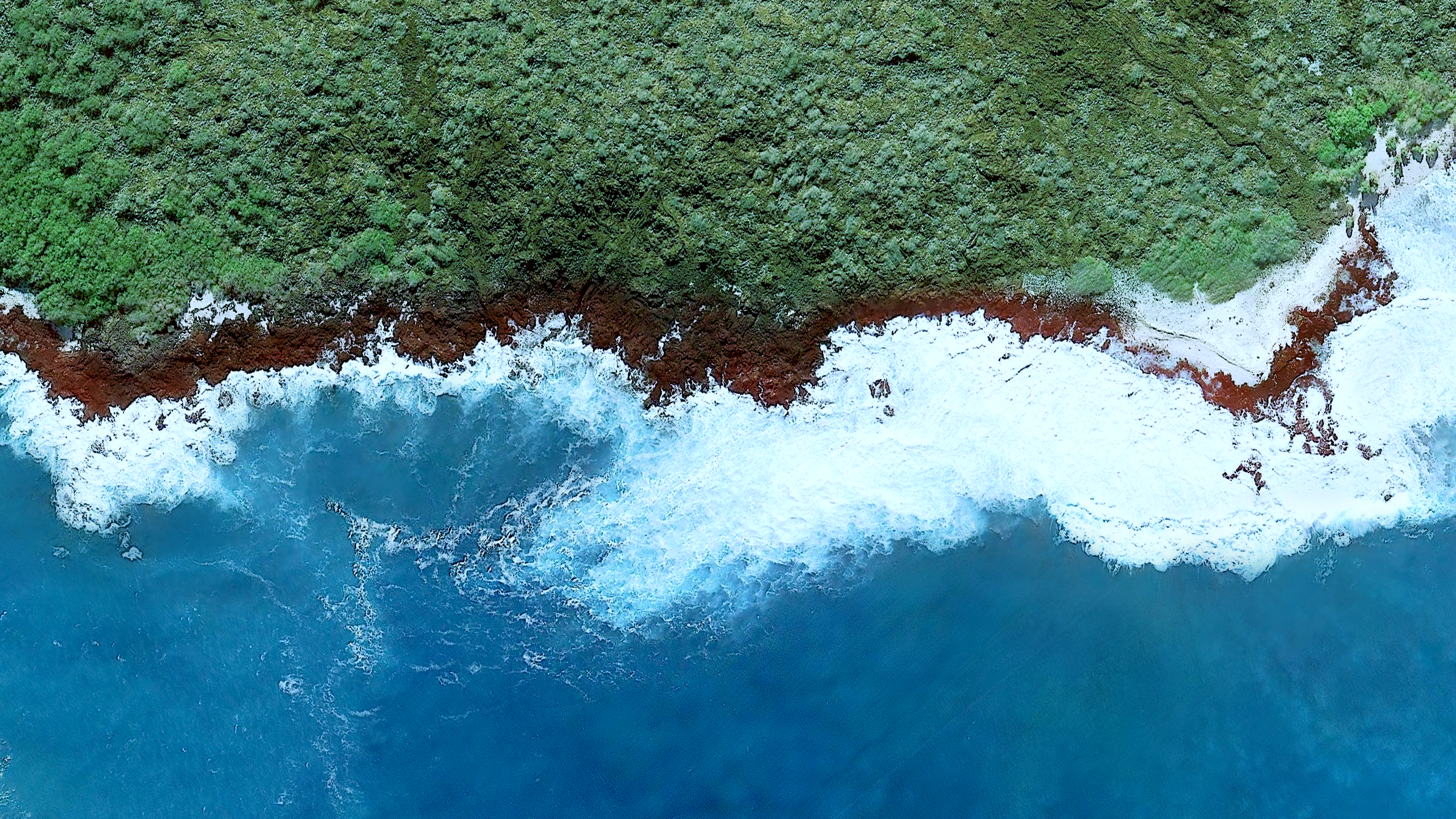 Aerial view of a forest coastline with waves HD Wallpaper