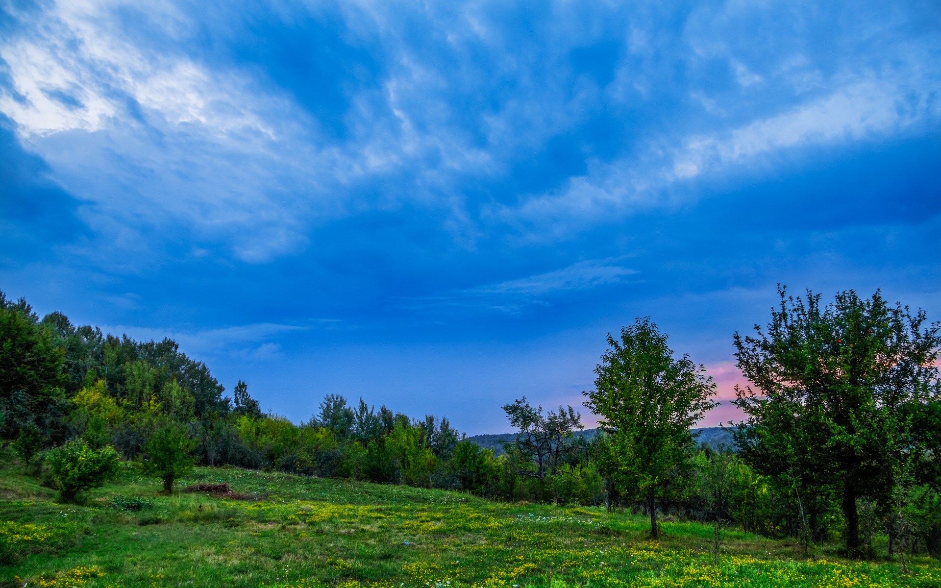 Green Hillside Under a Dramatic Blue Sky HD Wallpaper