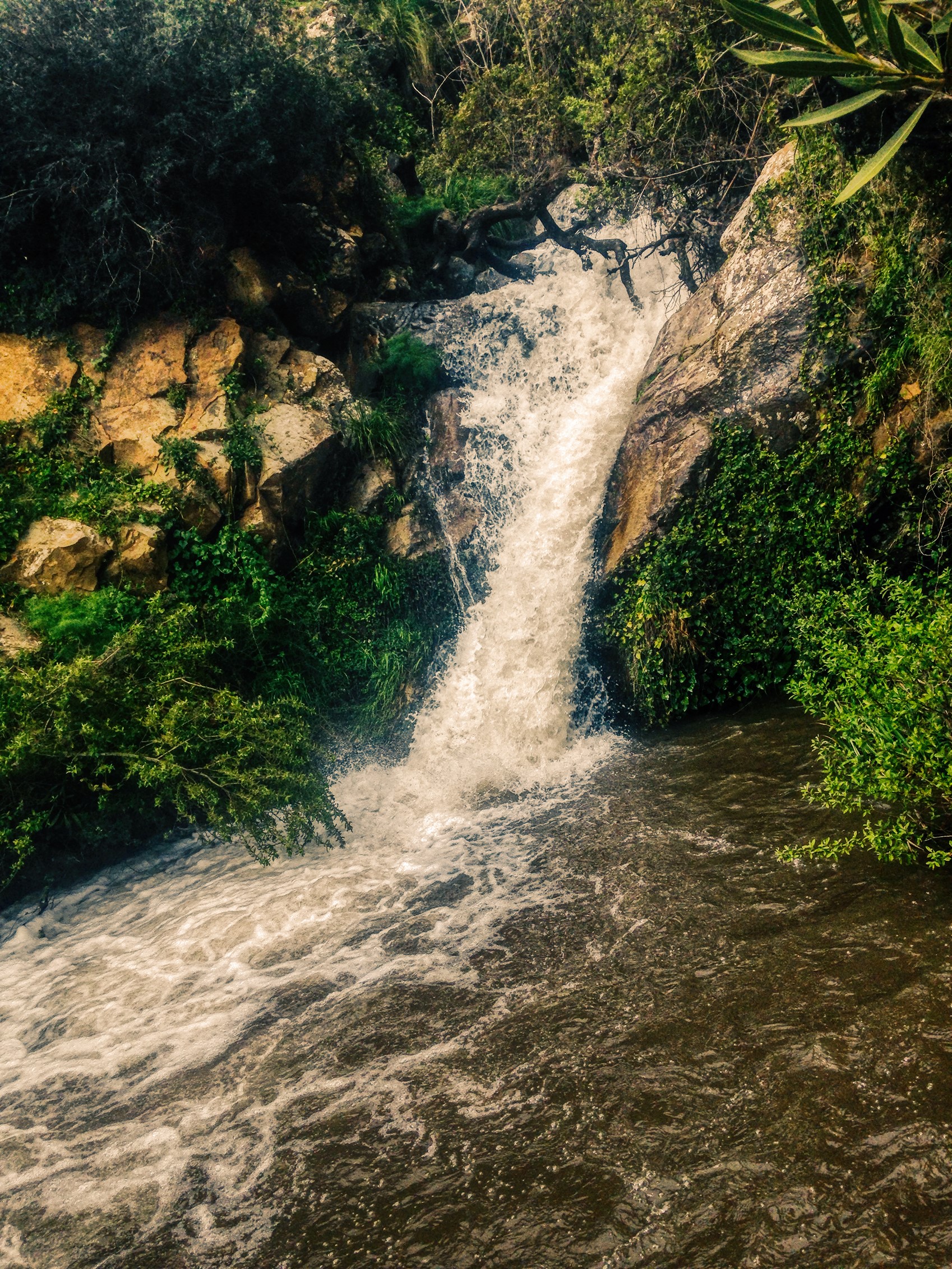 Waterfall cascading over rocks with surrounding greenery HD Phone Wallpaper