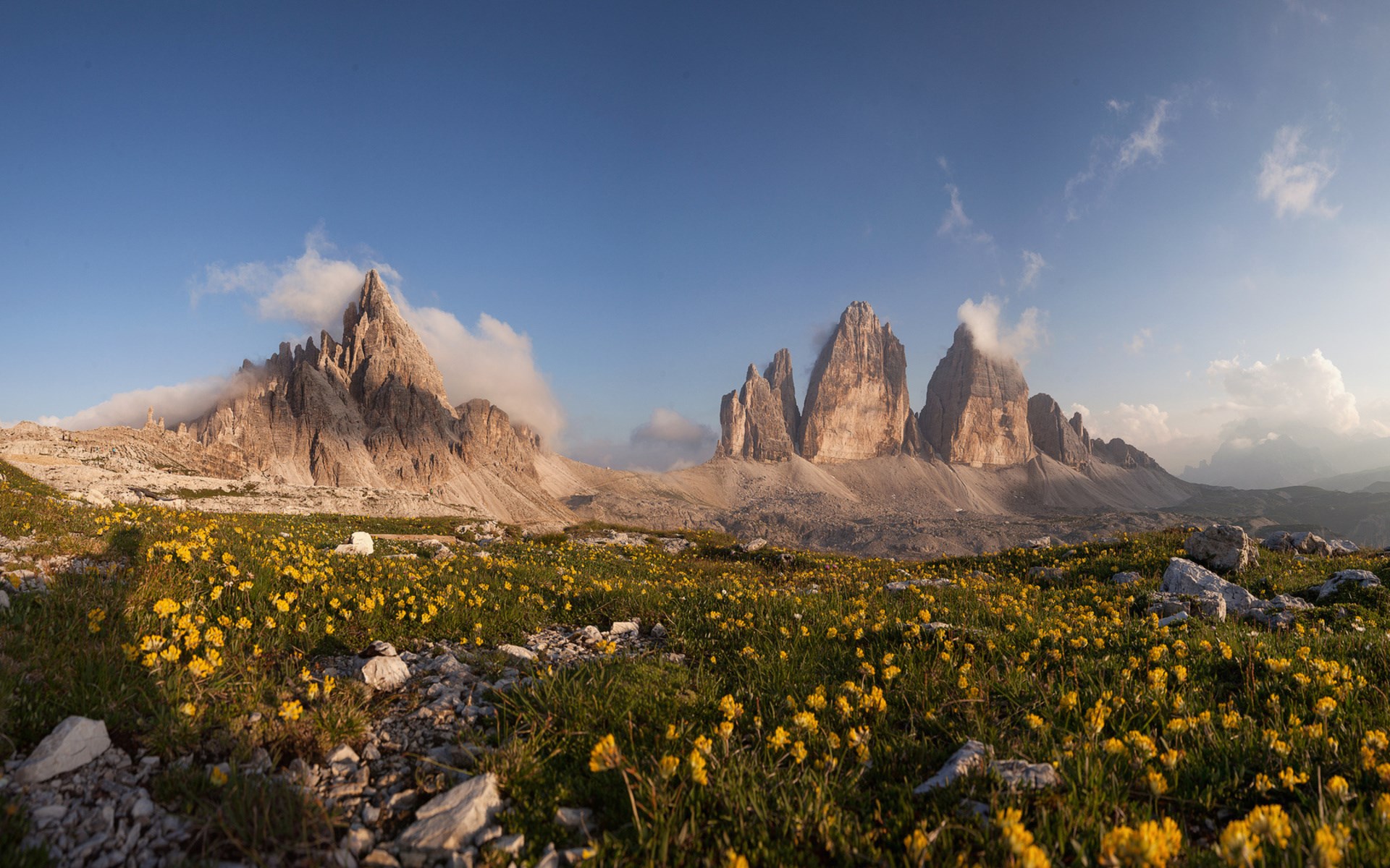 Tre Cime di Lavaredo mountains with yellow flowers HD Wallpaper